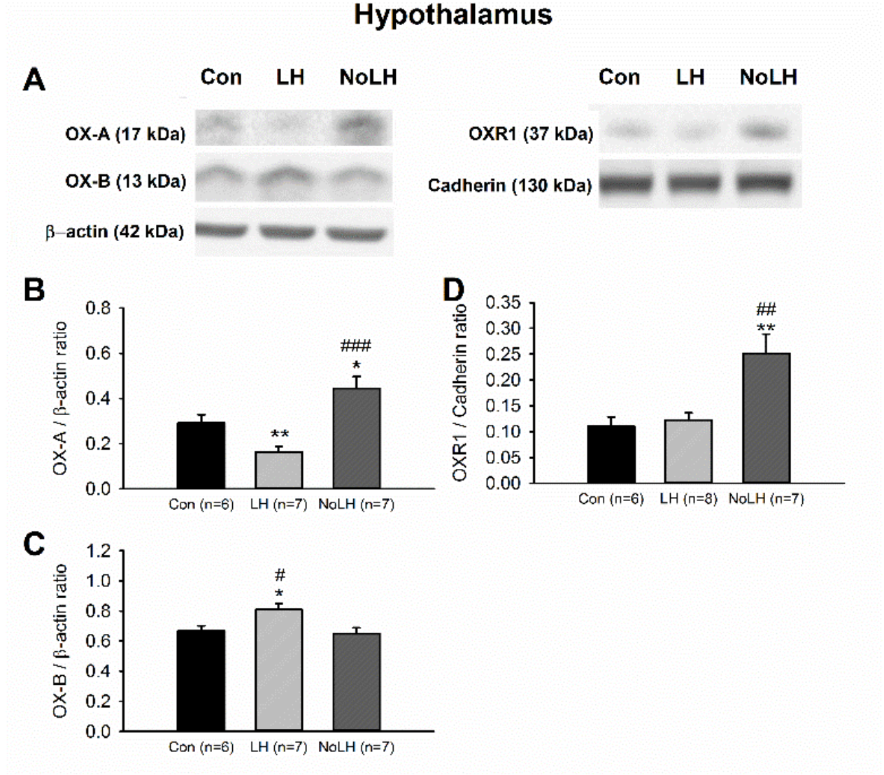 Brainsci 11 01634 g004