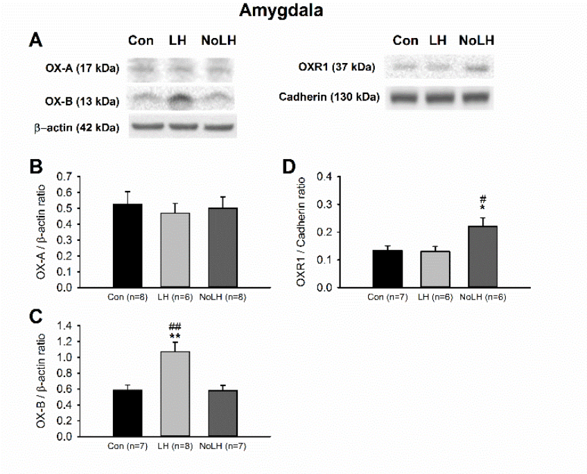 Brainsci 11 01634 g007