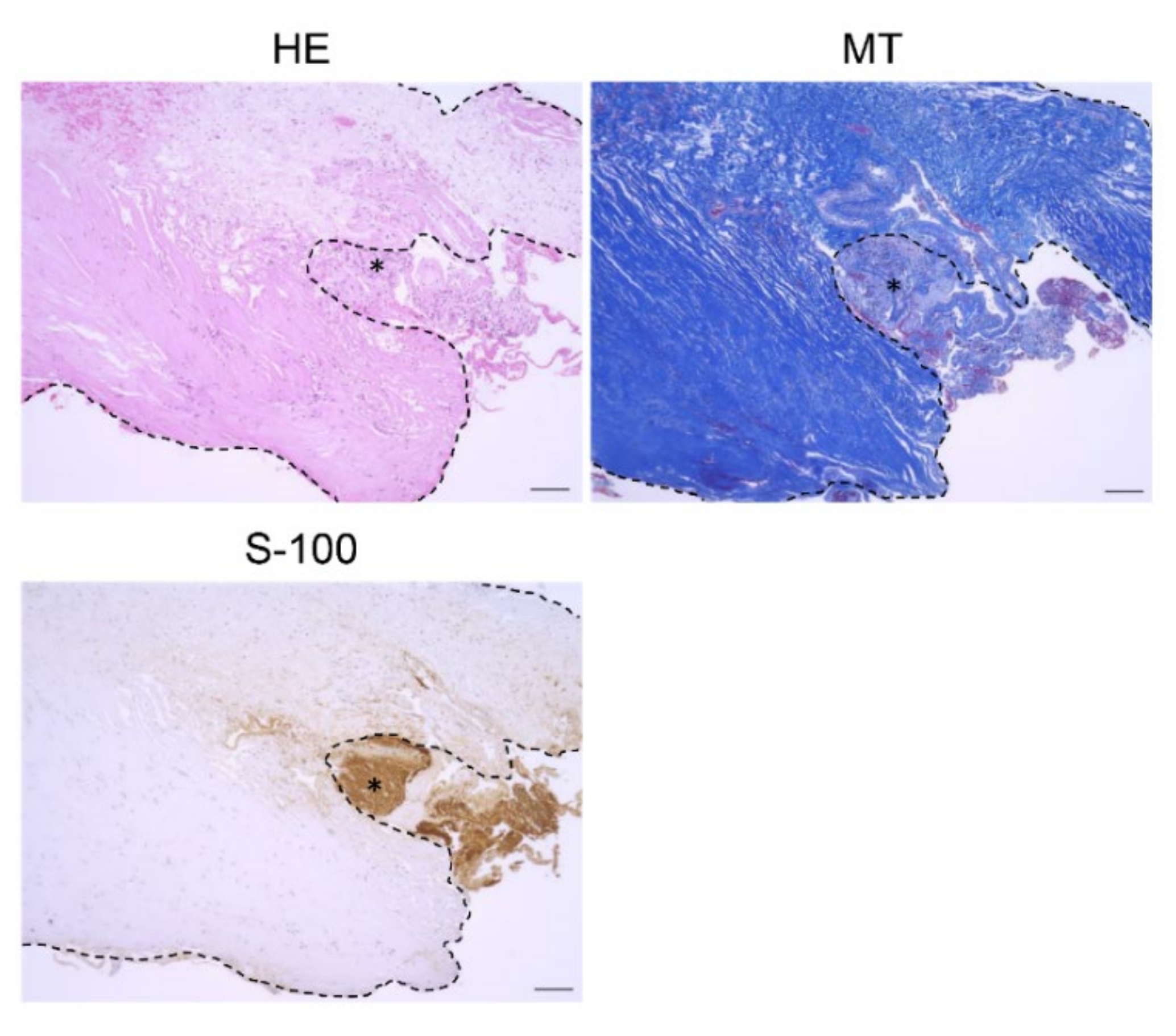 Brainsci 11 01649 g002