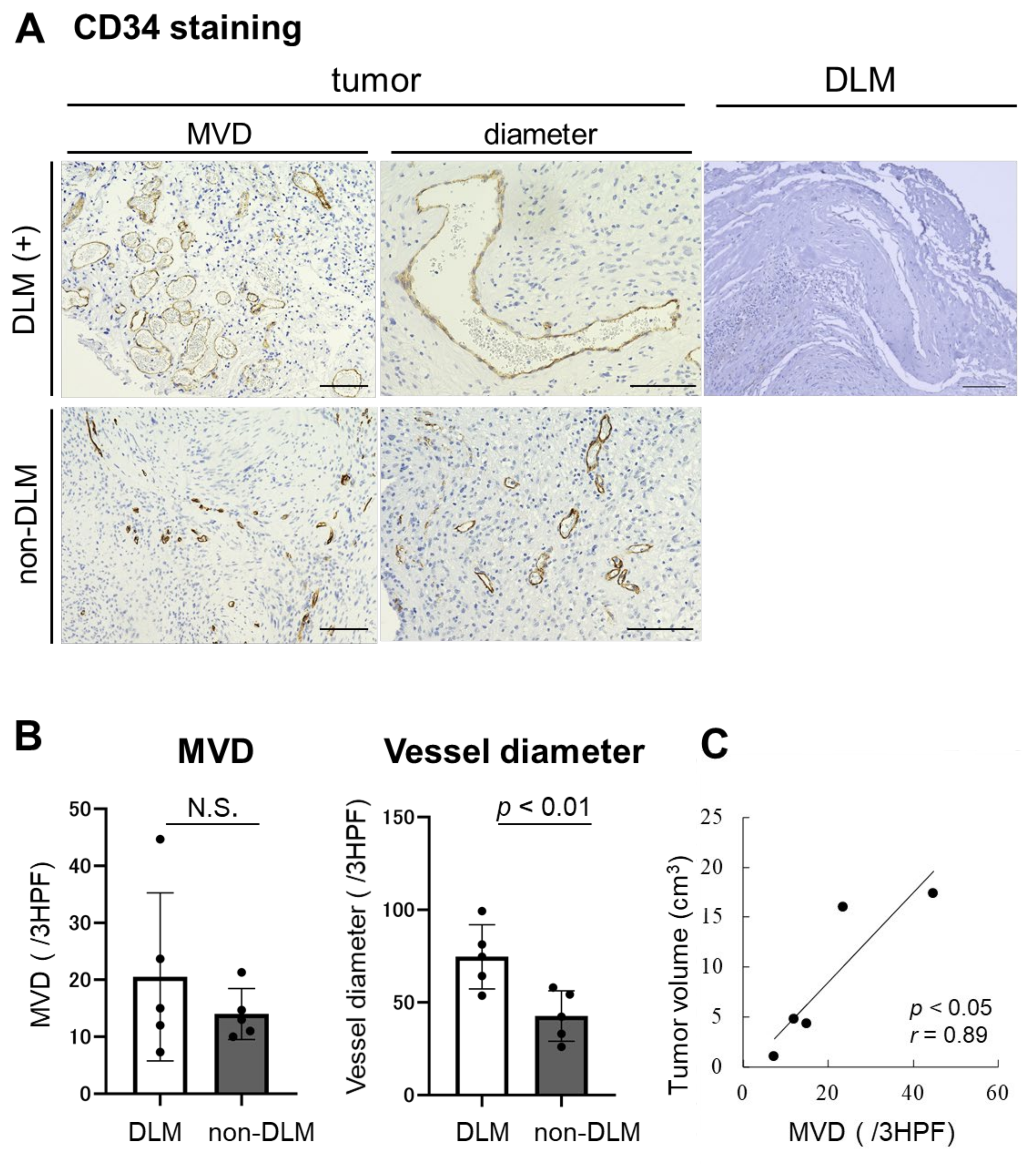 Brainsci 11 01649 g003