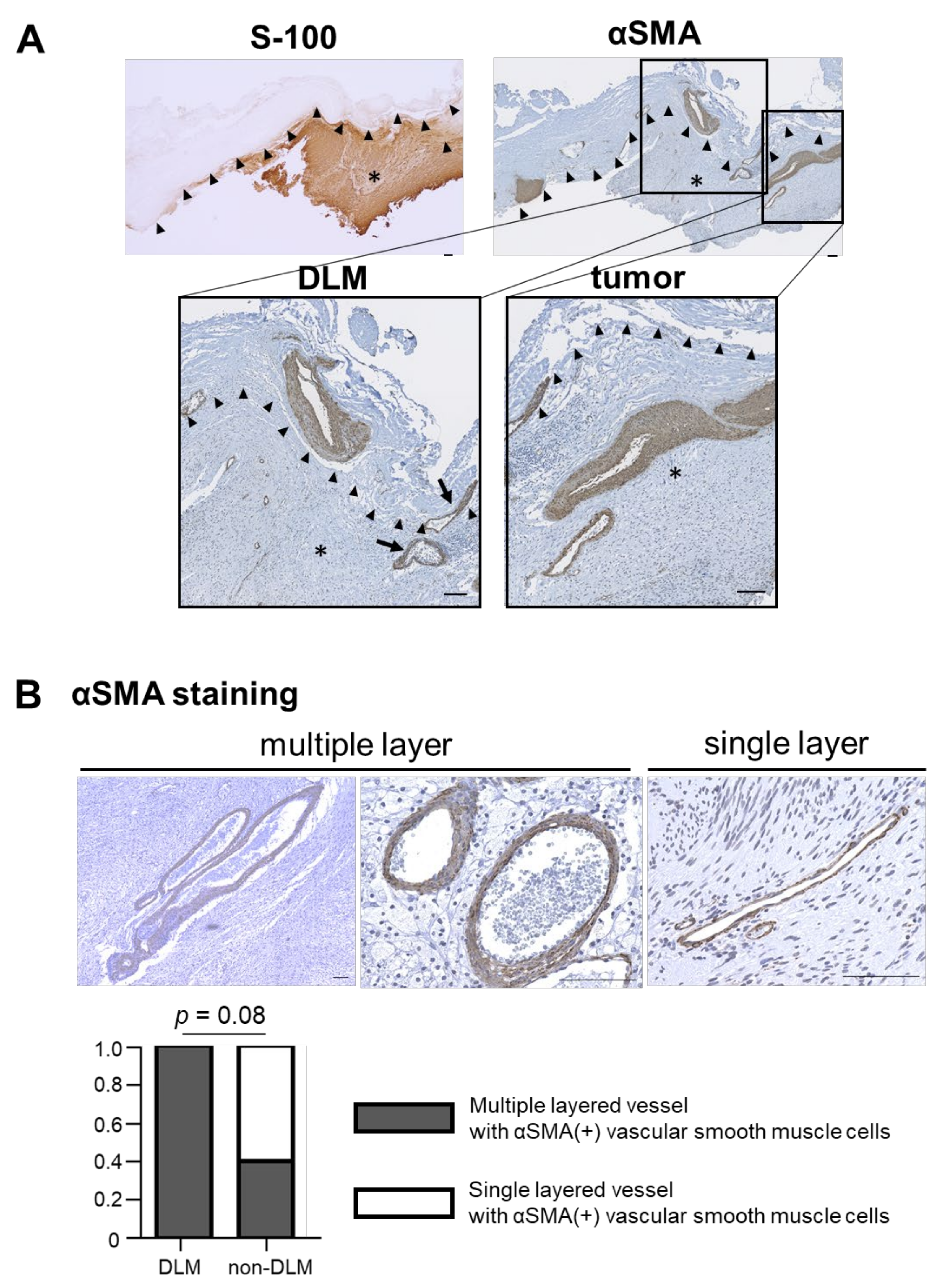 Brainsci 11 01649 g004