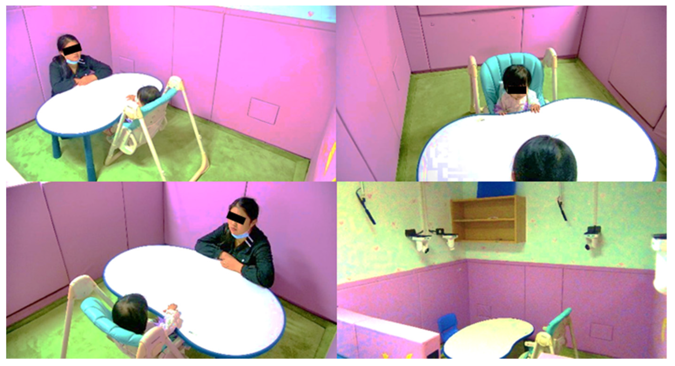 Brainsci 11 01651 g001 Brainsci 11 01651 g001