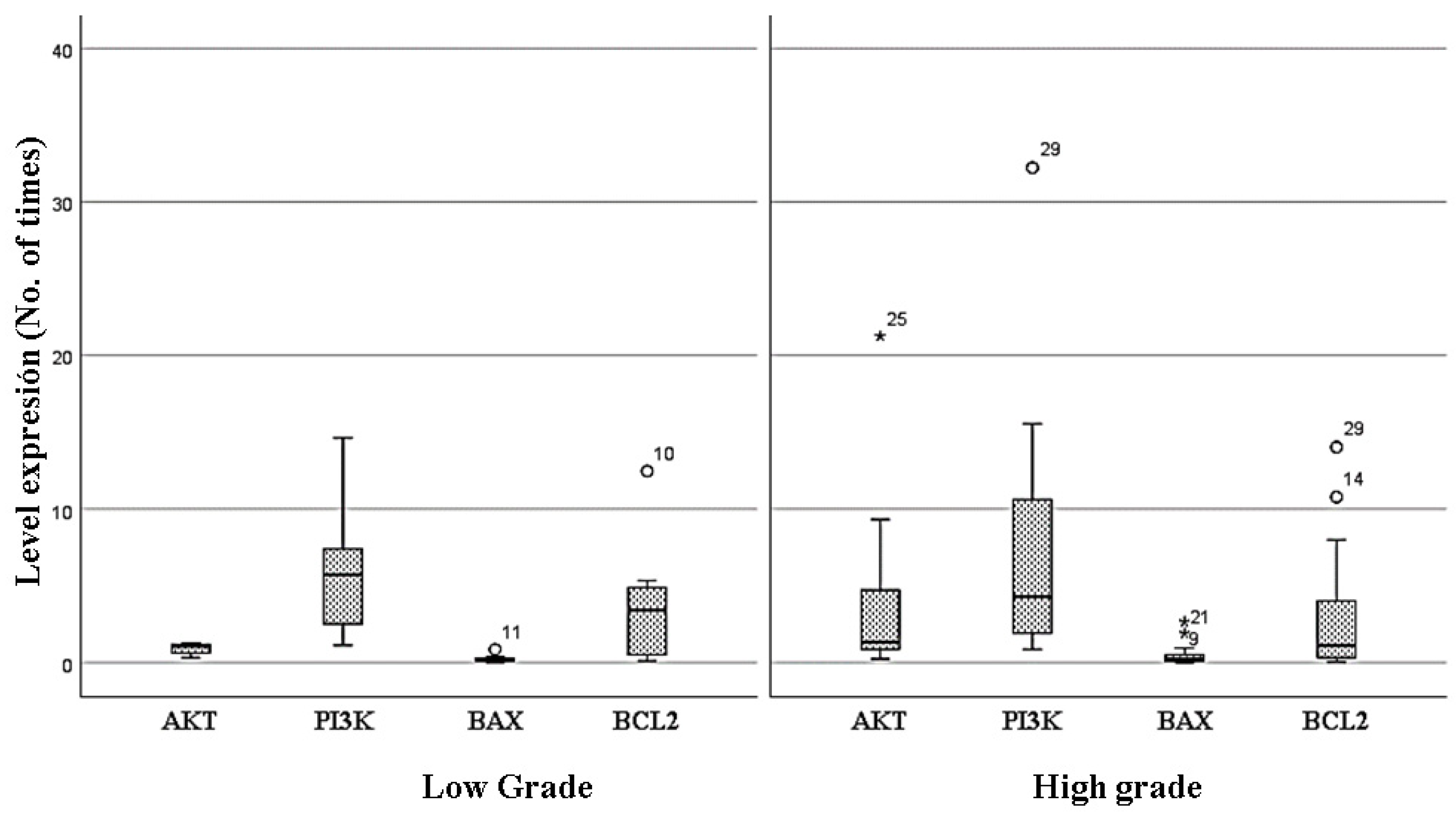 Brainsci 11 01655 g002