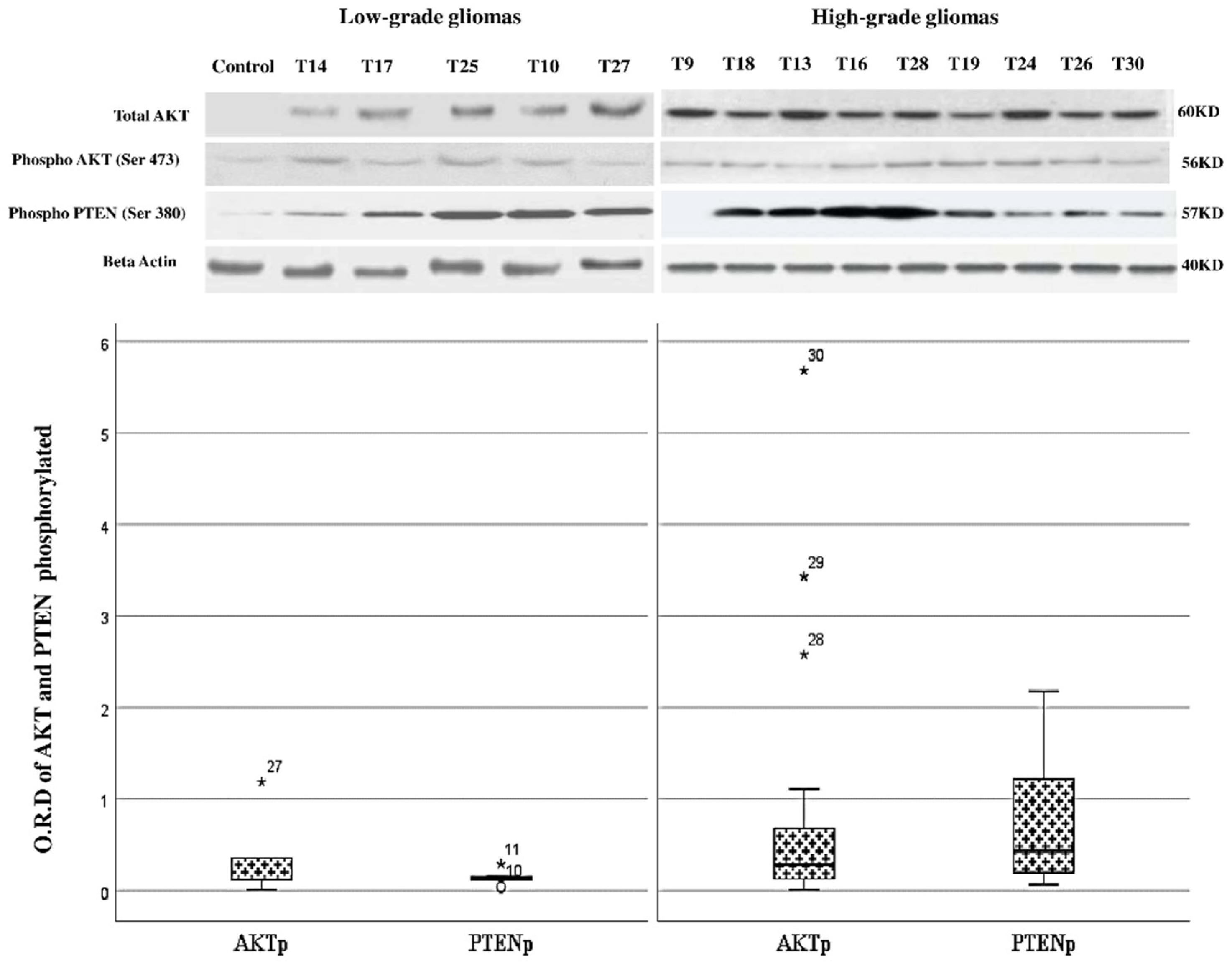 Brainsci 11 01655 g003
