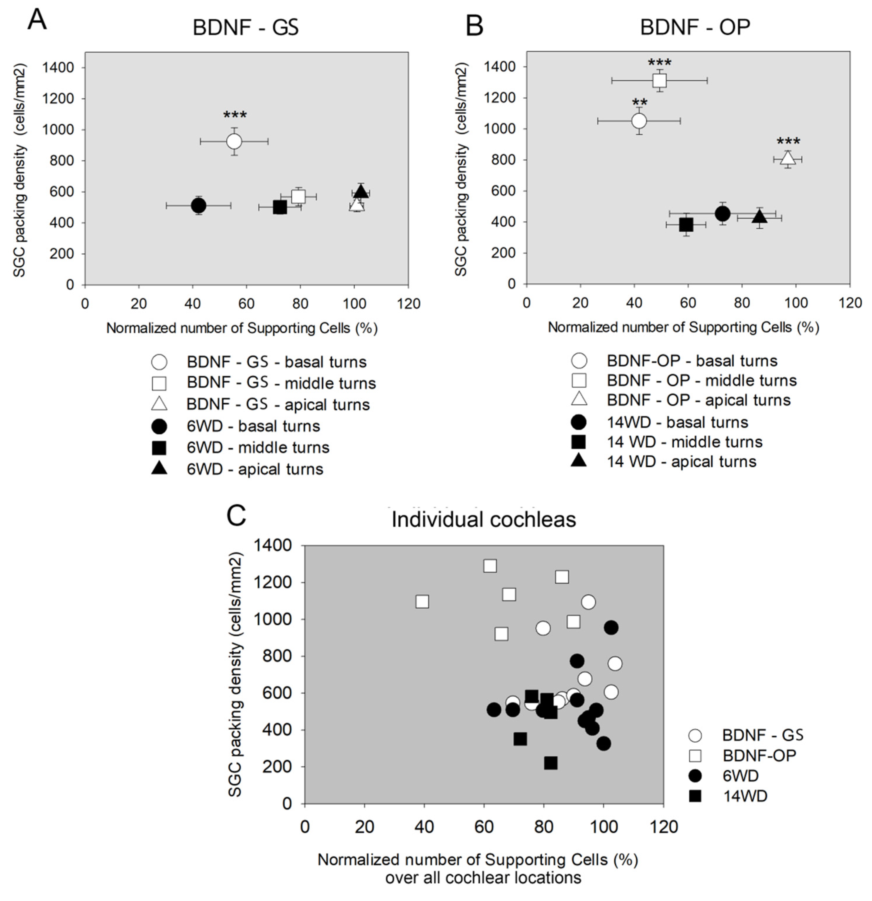 Brainsci 12 00002 g010 Brainsci 12 00002 g010