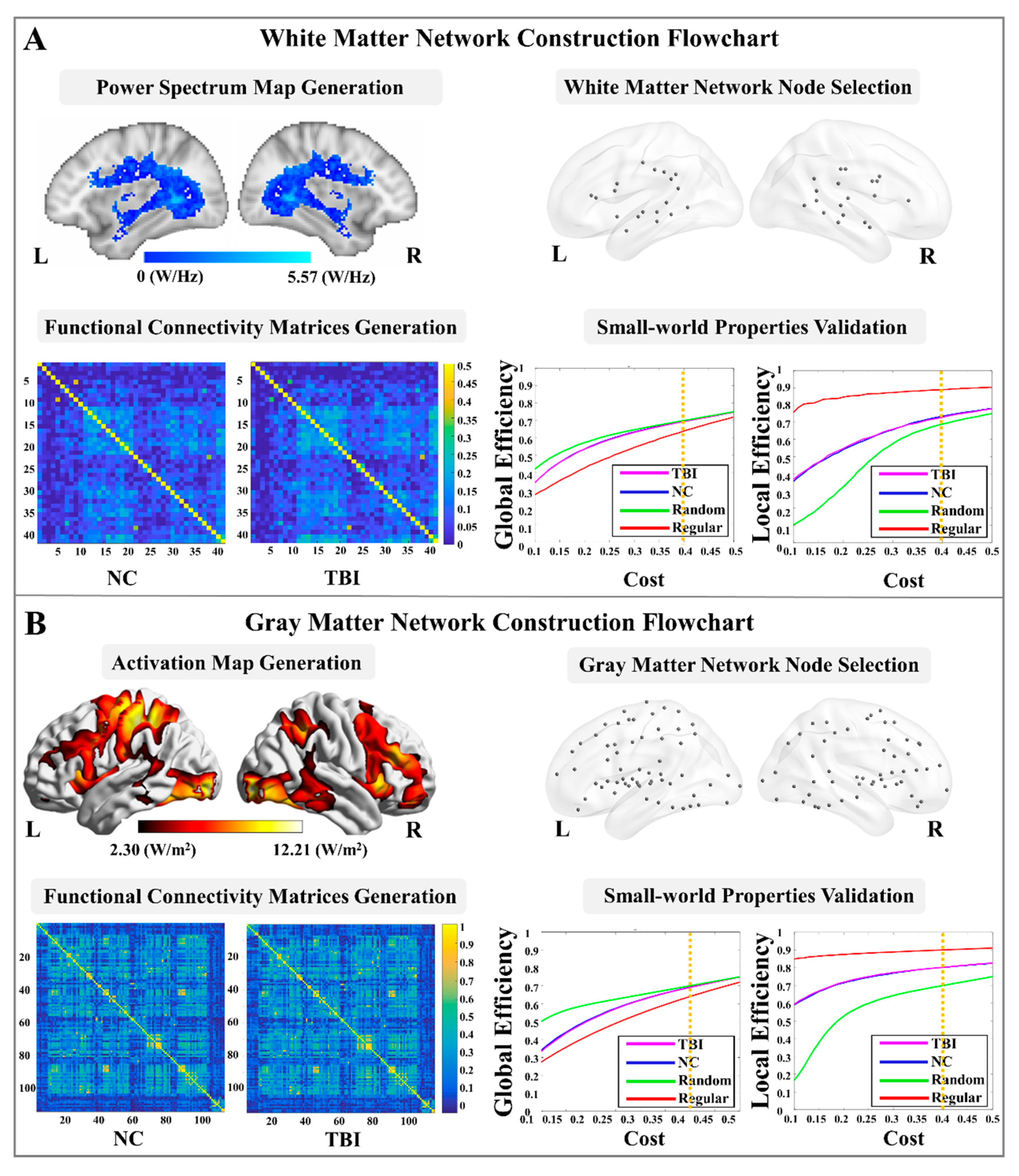 Brainsci 12 00016 g001 Brainsci 12 00016 g001