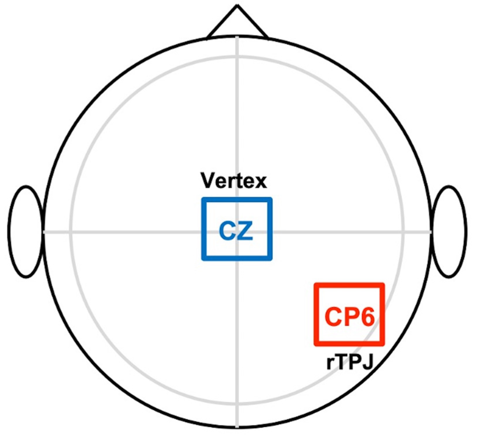 Brainsci 12 00030 g001 550