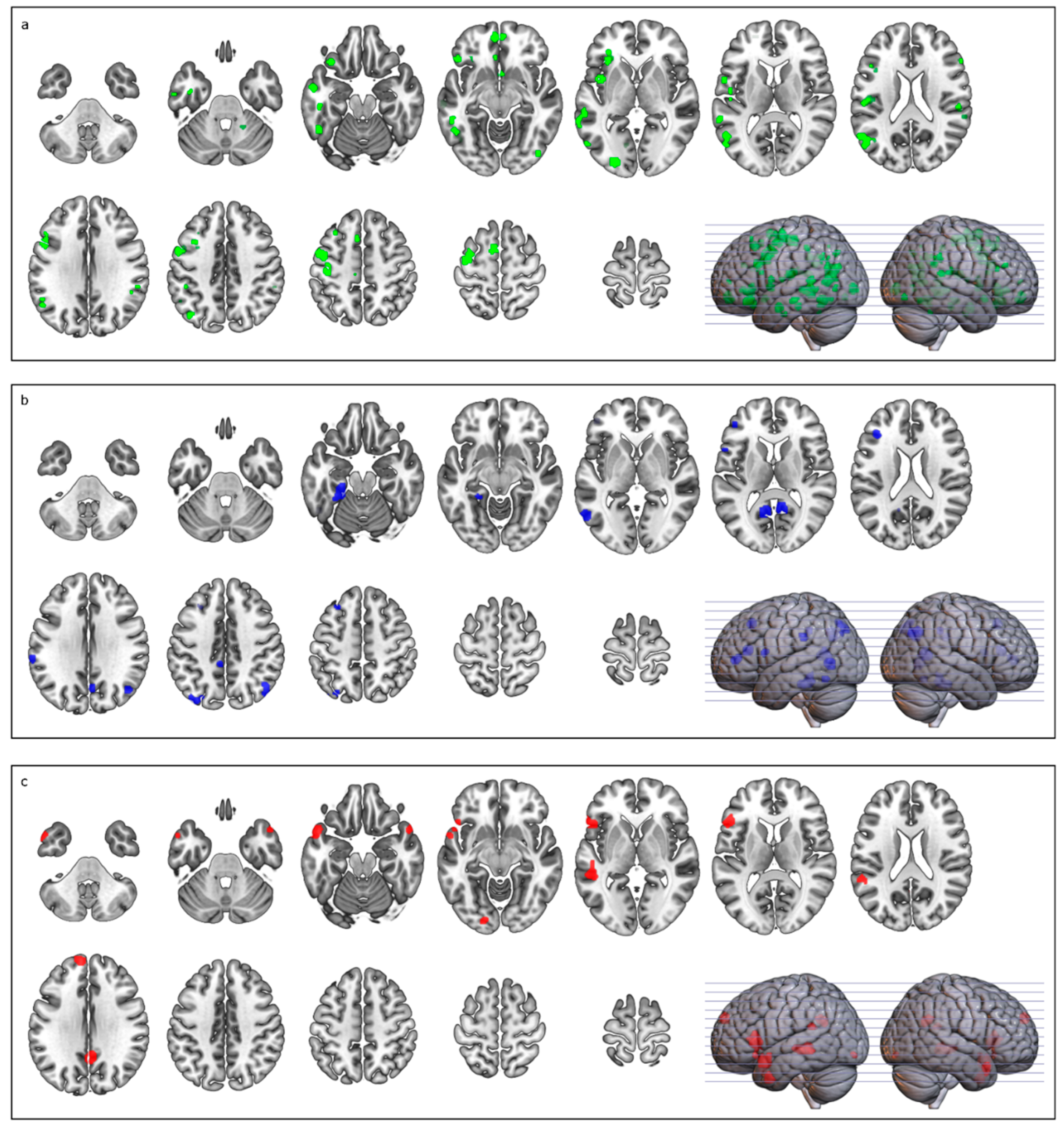 Brainsci 12 00032 g002