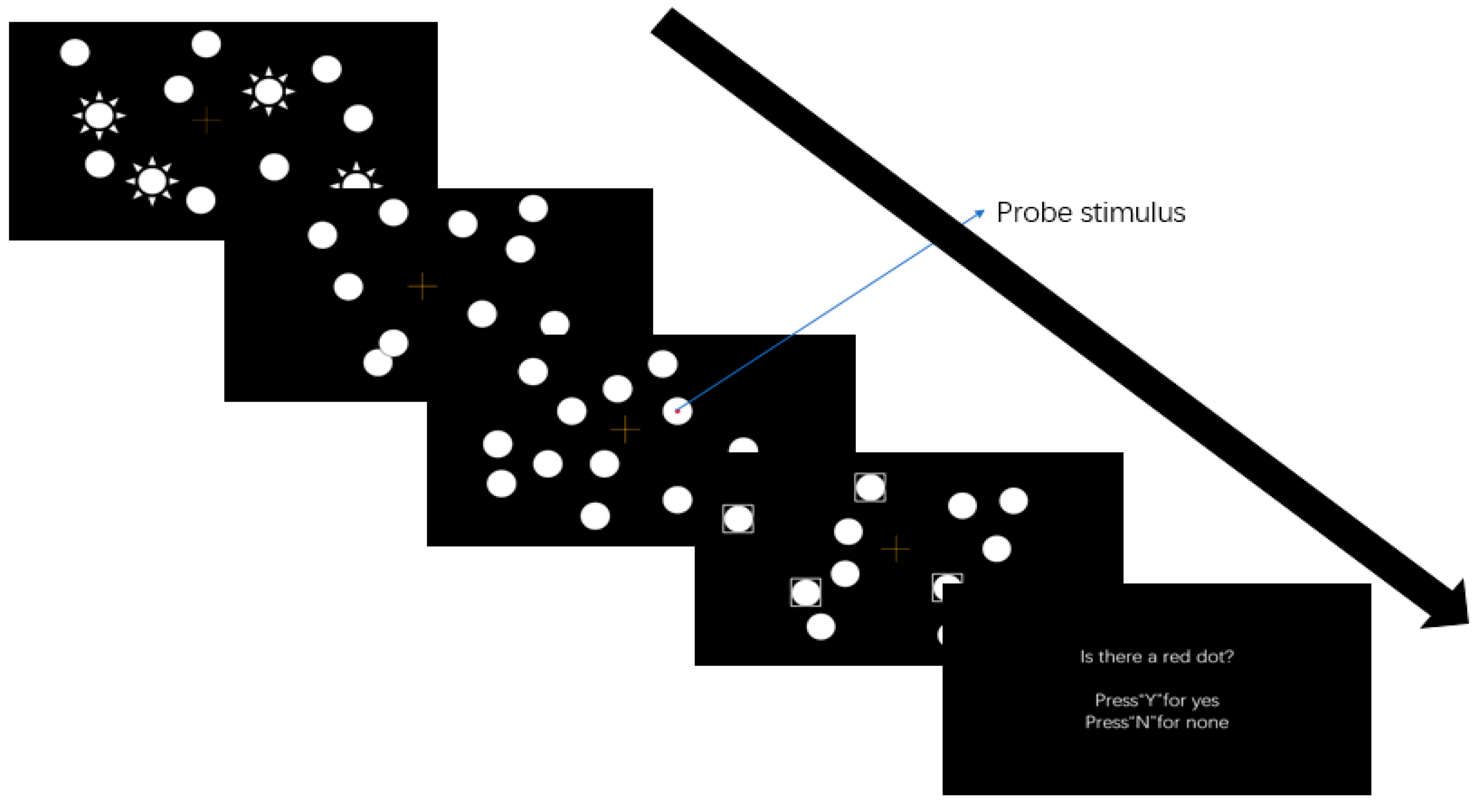 Brainsci 12 00041 g002