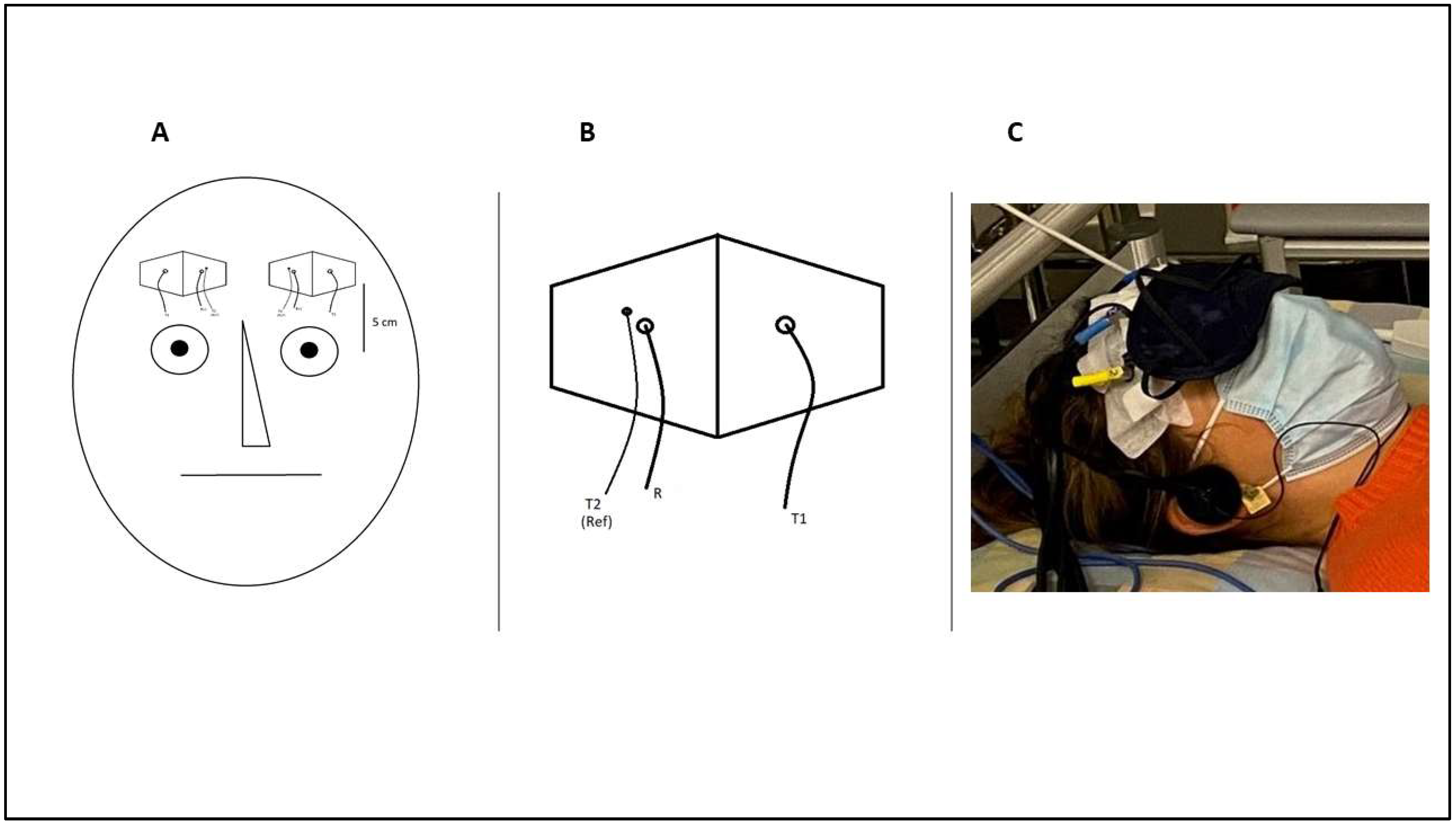Brainsci 12 00042 g002 550