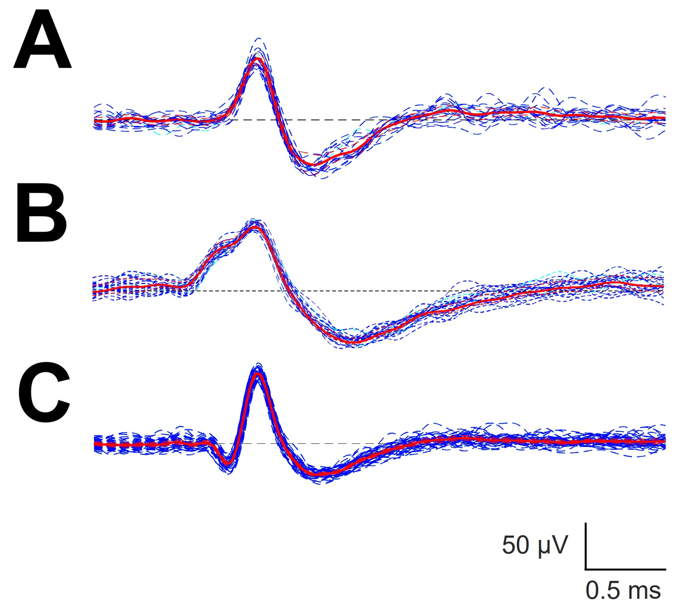 Brainsci 12 00043 g0a1