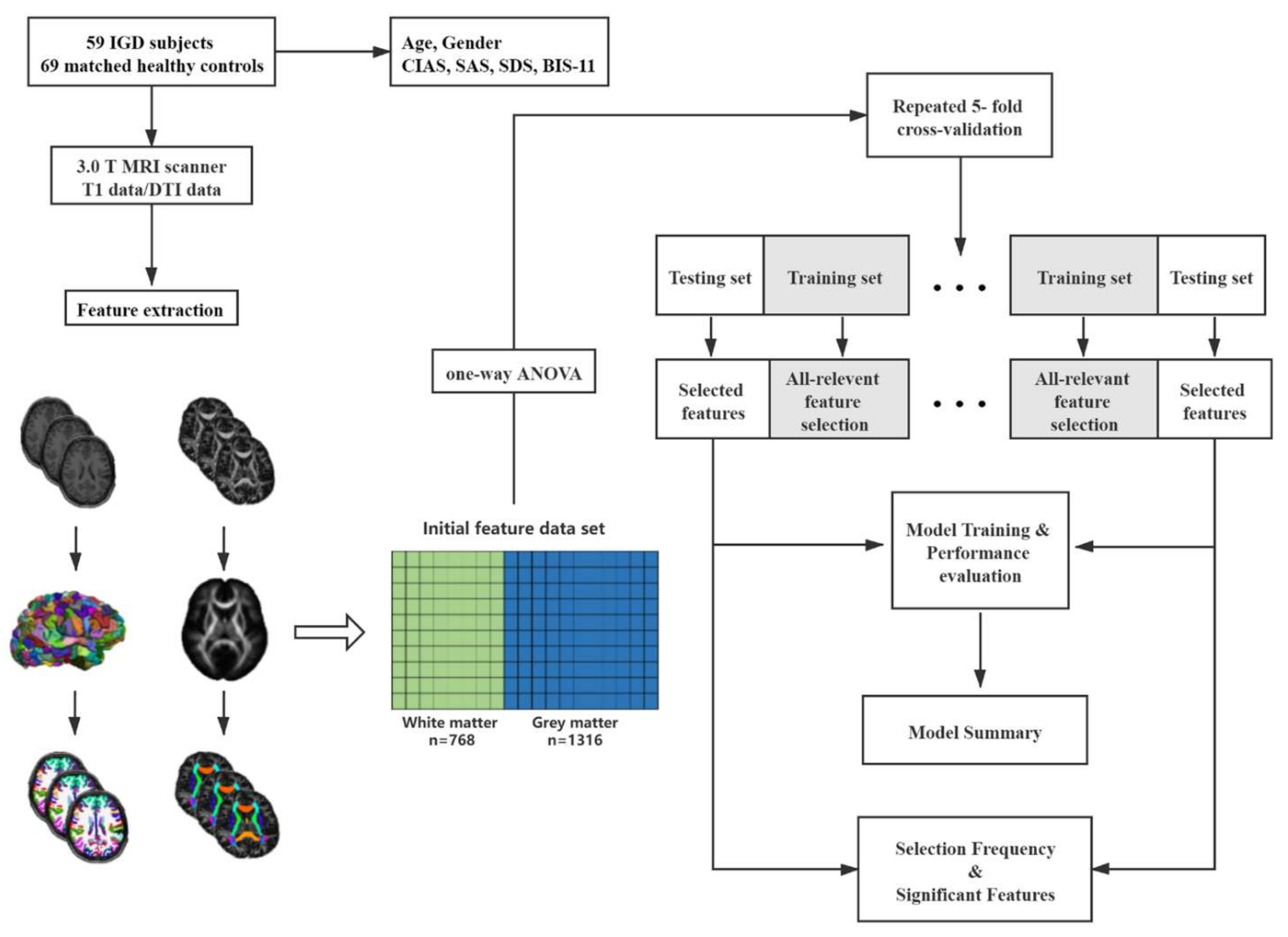 Brainsci 12 00044 g001 Brainsci 12 00044 g001