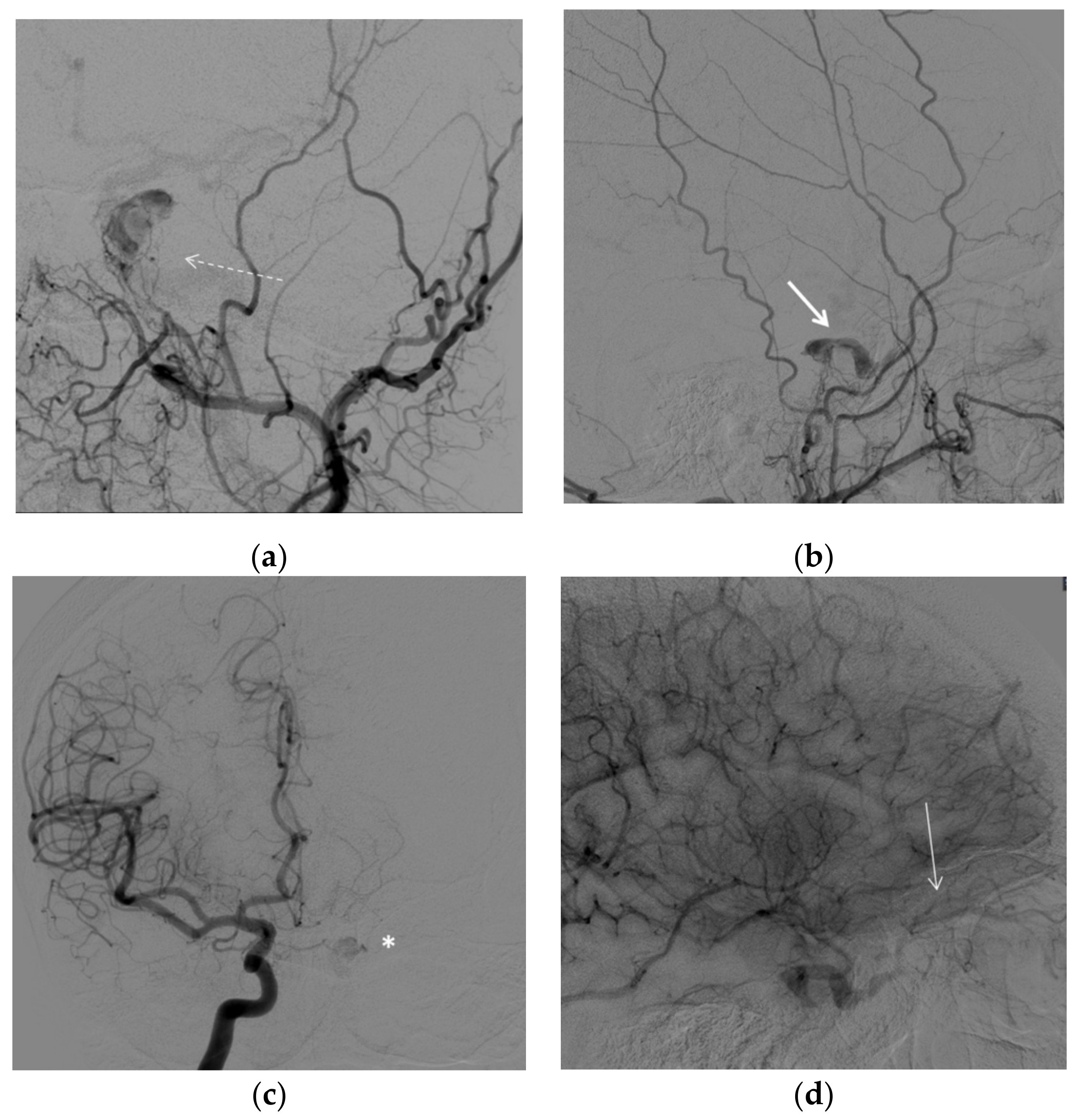Brainsci 12 00045 g003