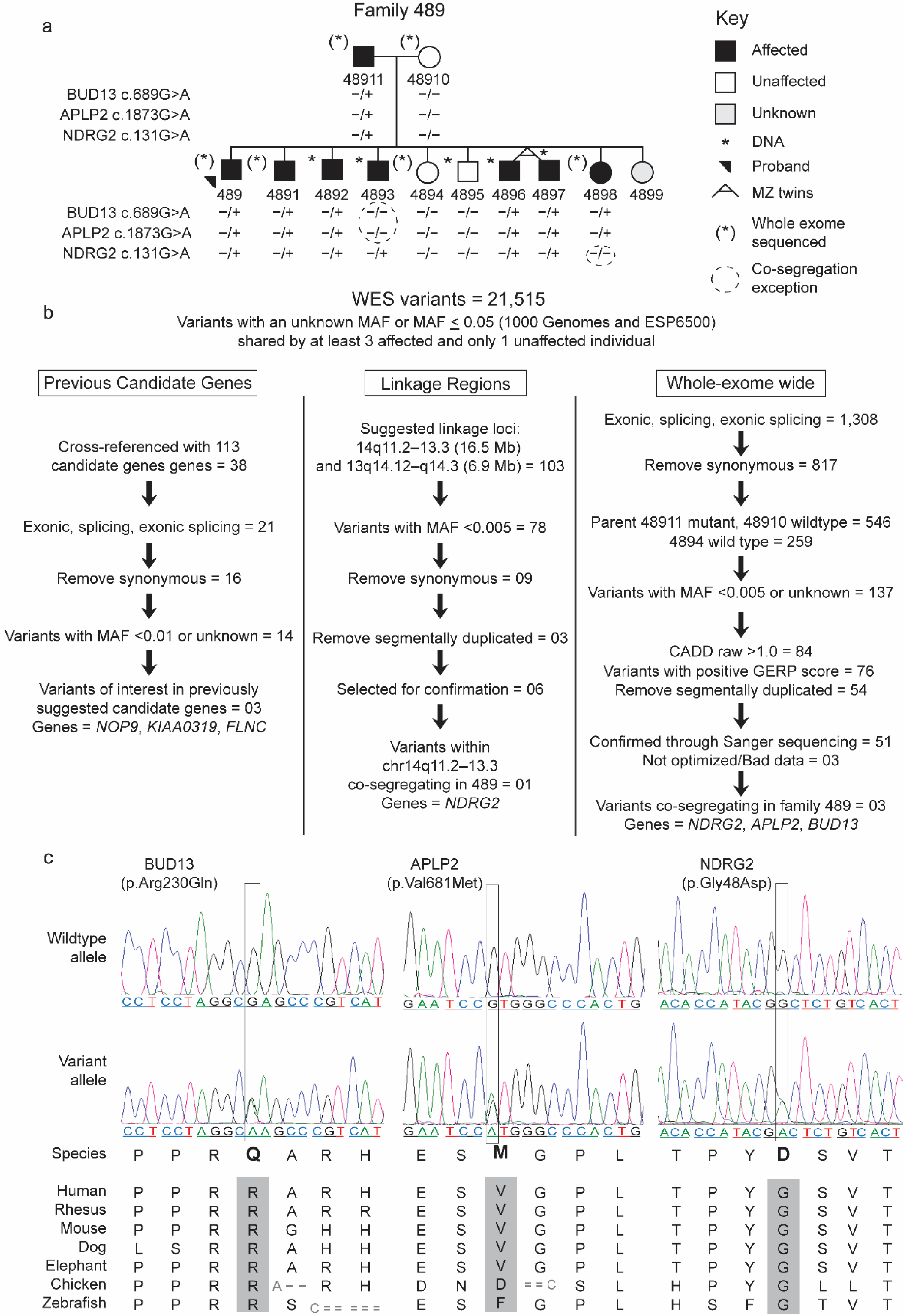Brainsci 12 00047 g001 Brainsci 12 00047 g001
