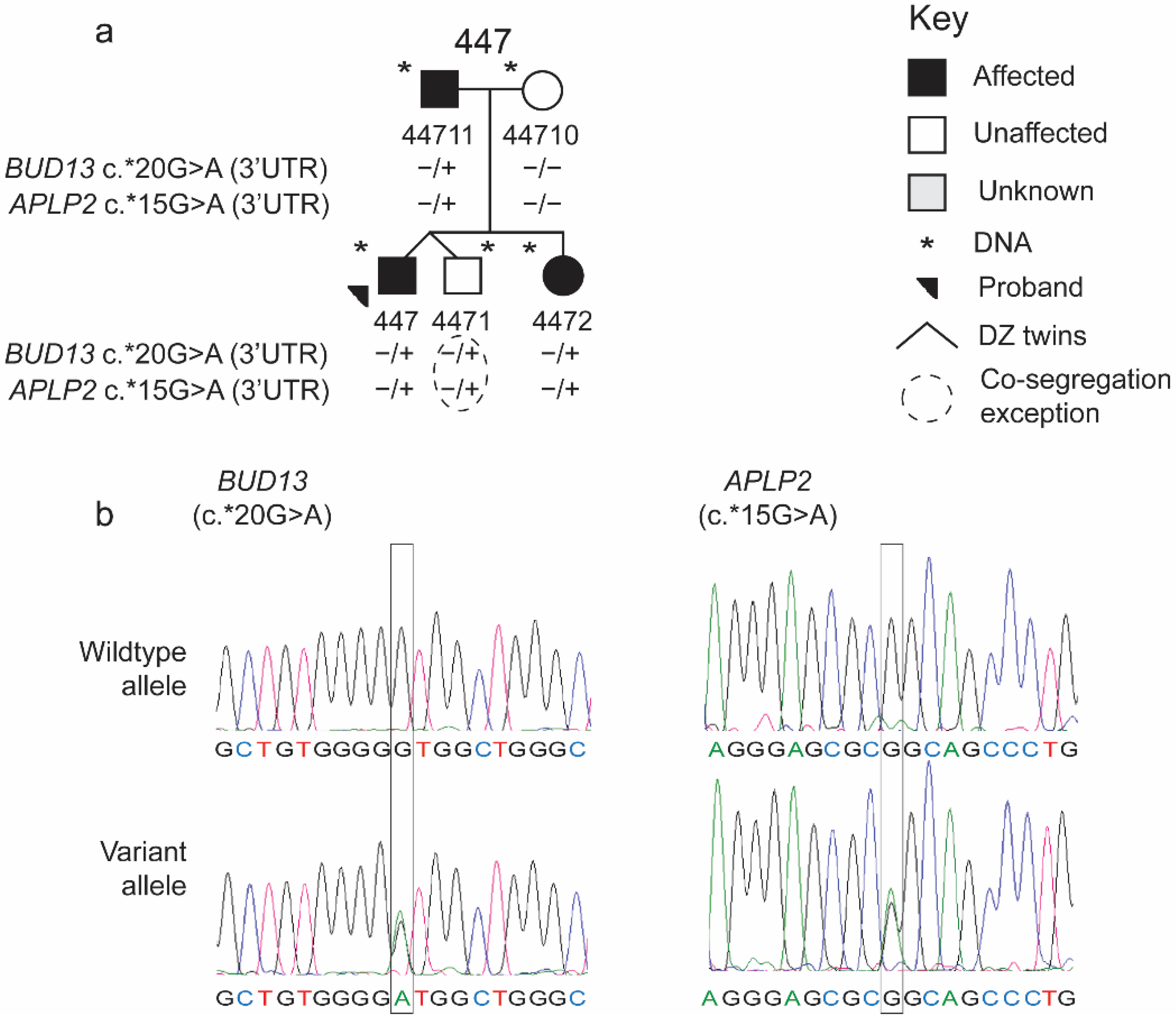 Brainsci 12 00047 g002 Brainsci 12 00047 g002