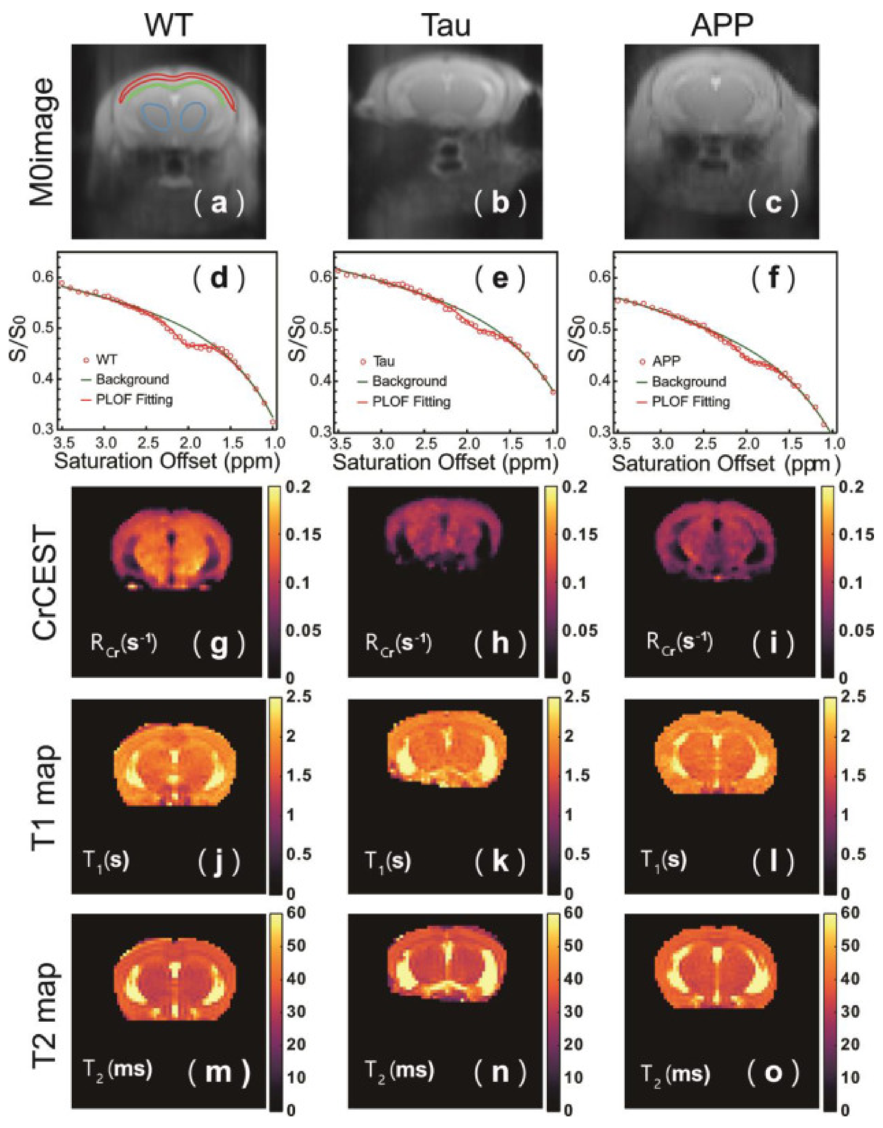 Brainsci 12 00053 g003 Brainsci 12 00053 g003