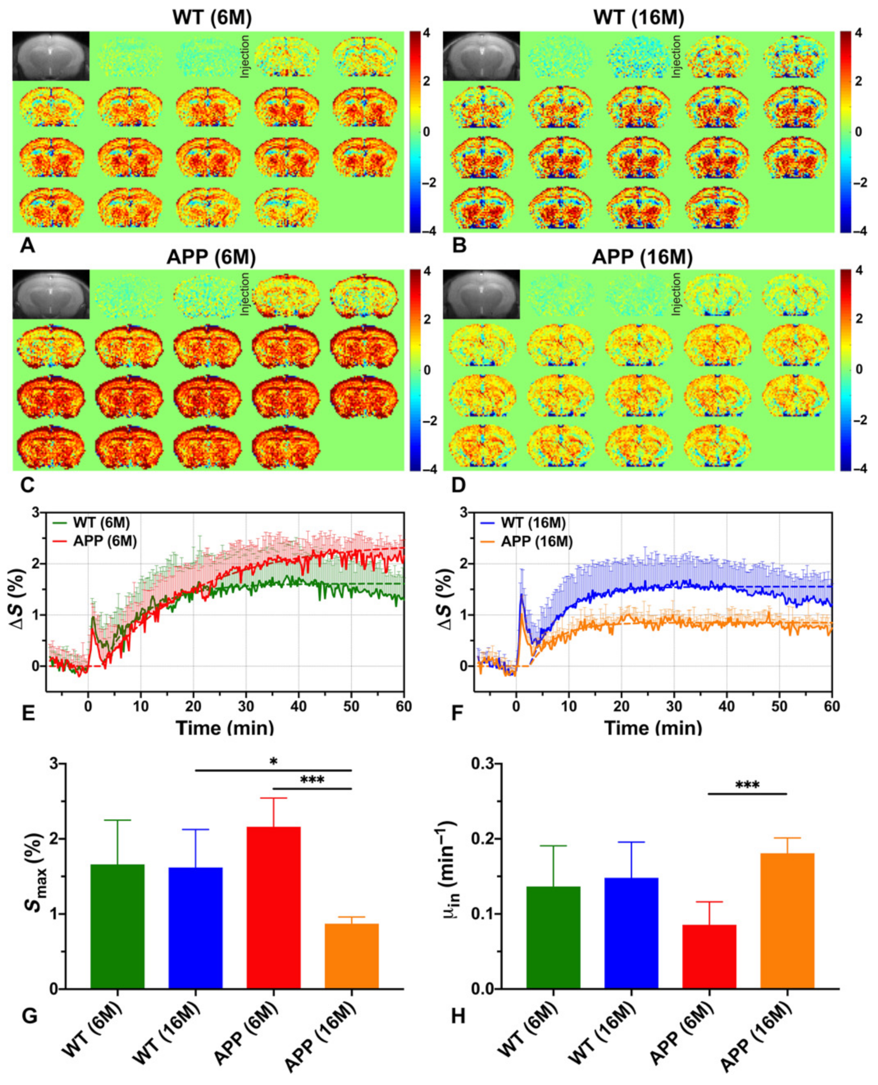 Brainsci 12 00053 g005 Brainsci 12 00053 g005