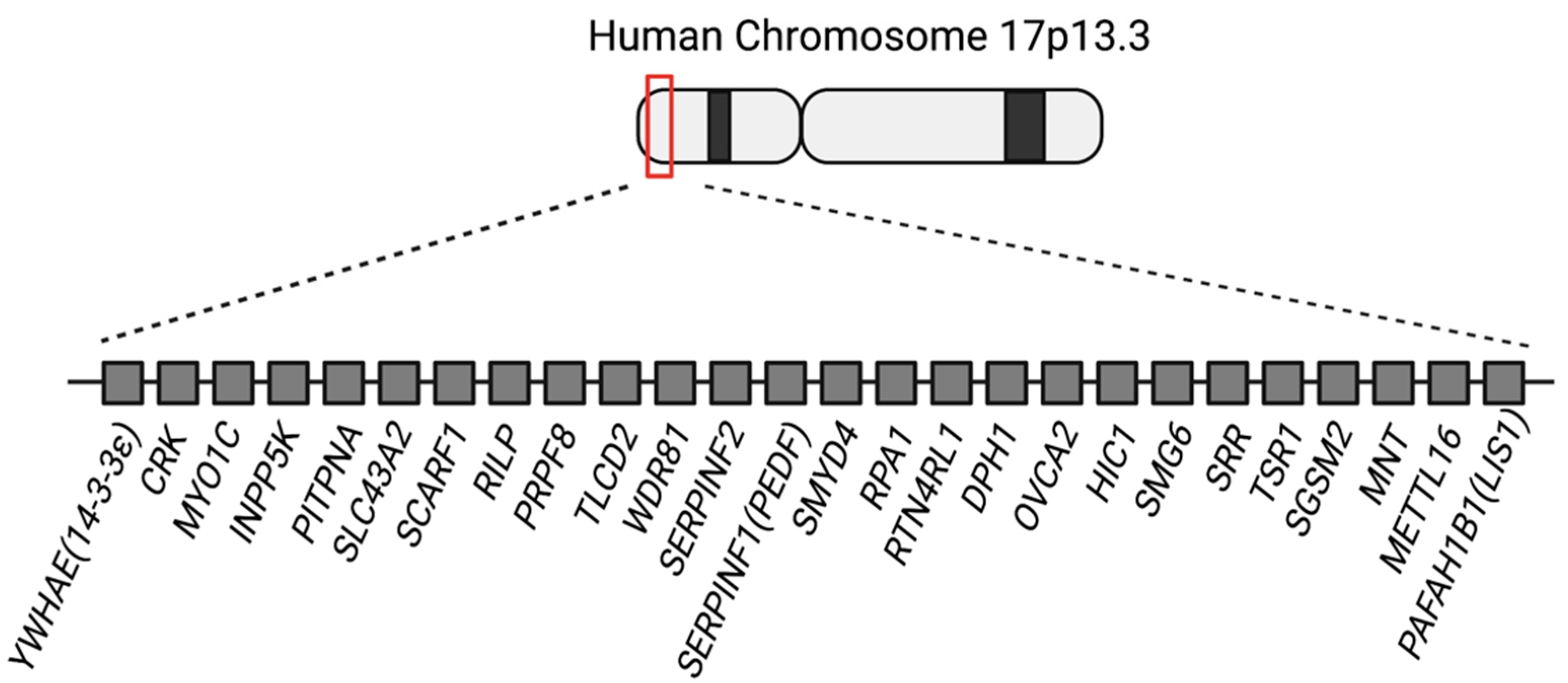 Brainsci 12 00056 g001