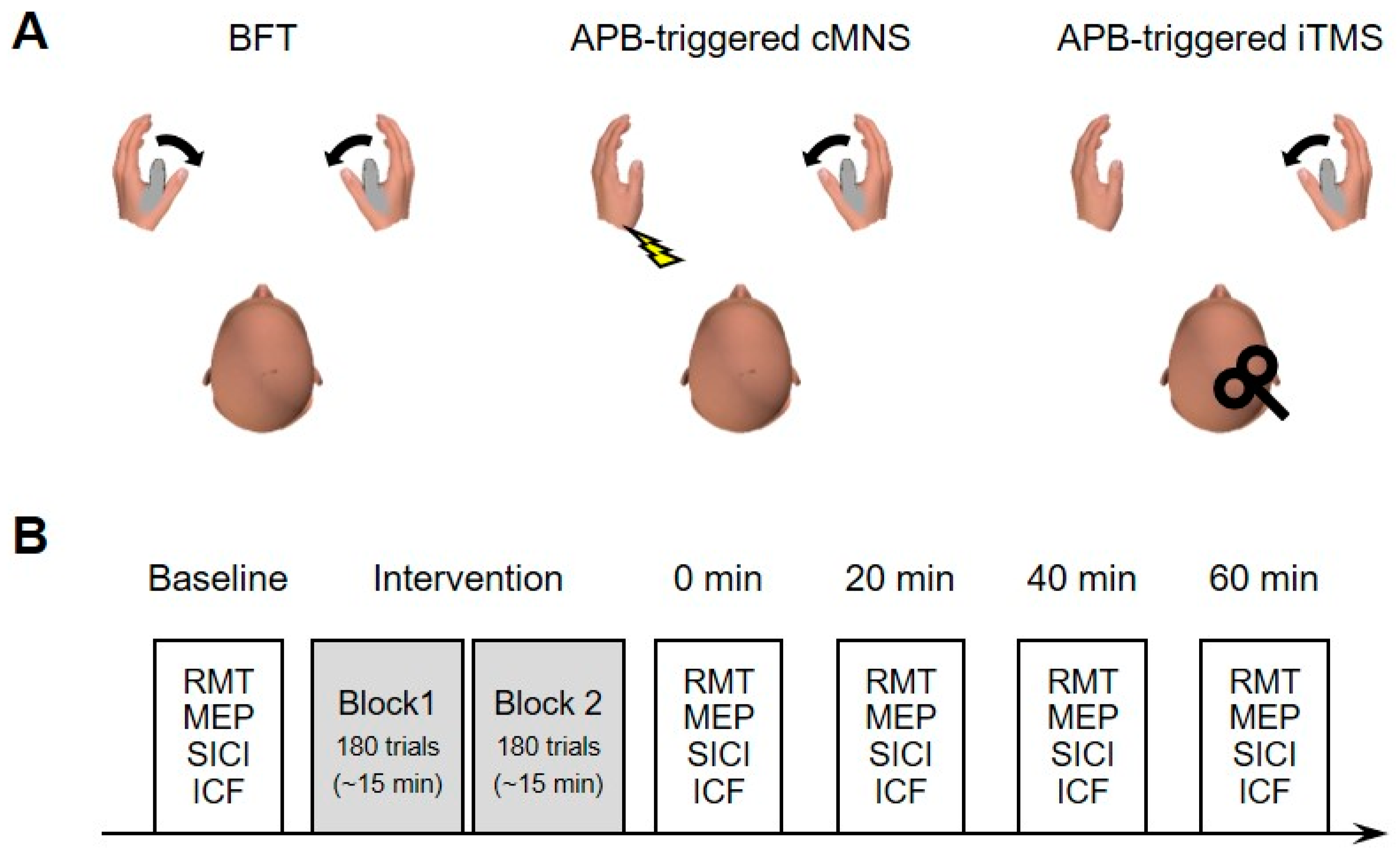 Brainsci 12 00061 g001 550