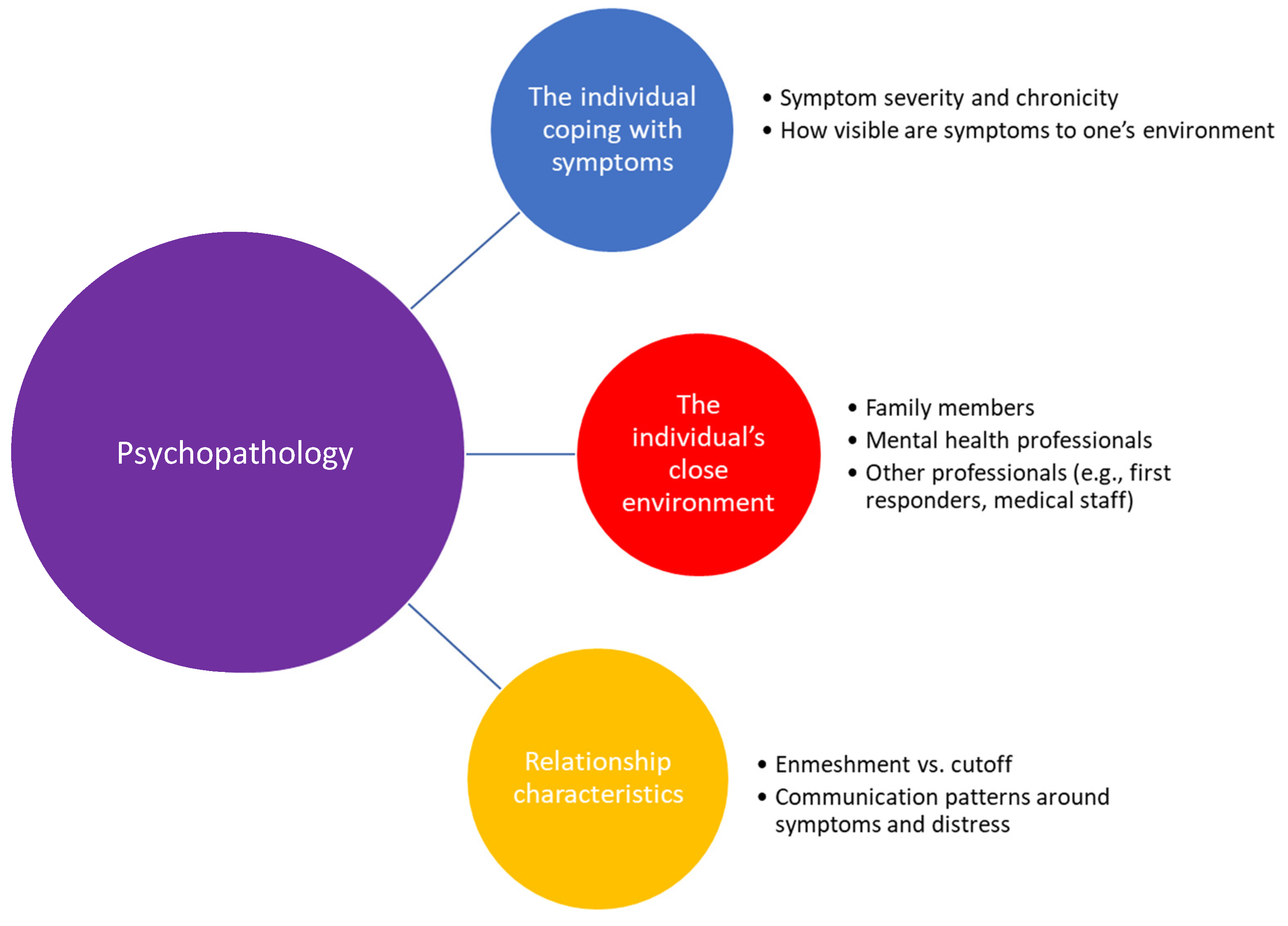 Brain Sciences Free Full-Text The Contagion of Psychopathology across Different Psychiatric Disorders A Comparative Theoretical Analysis picture image