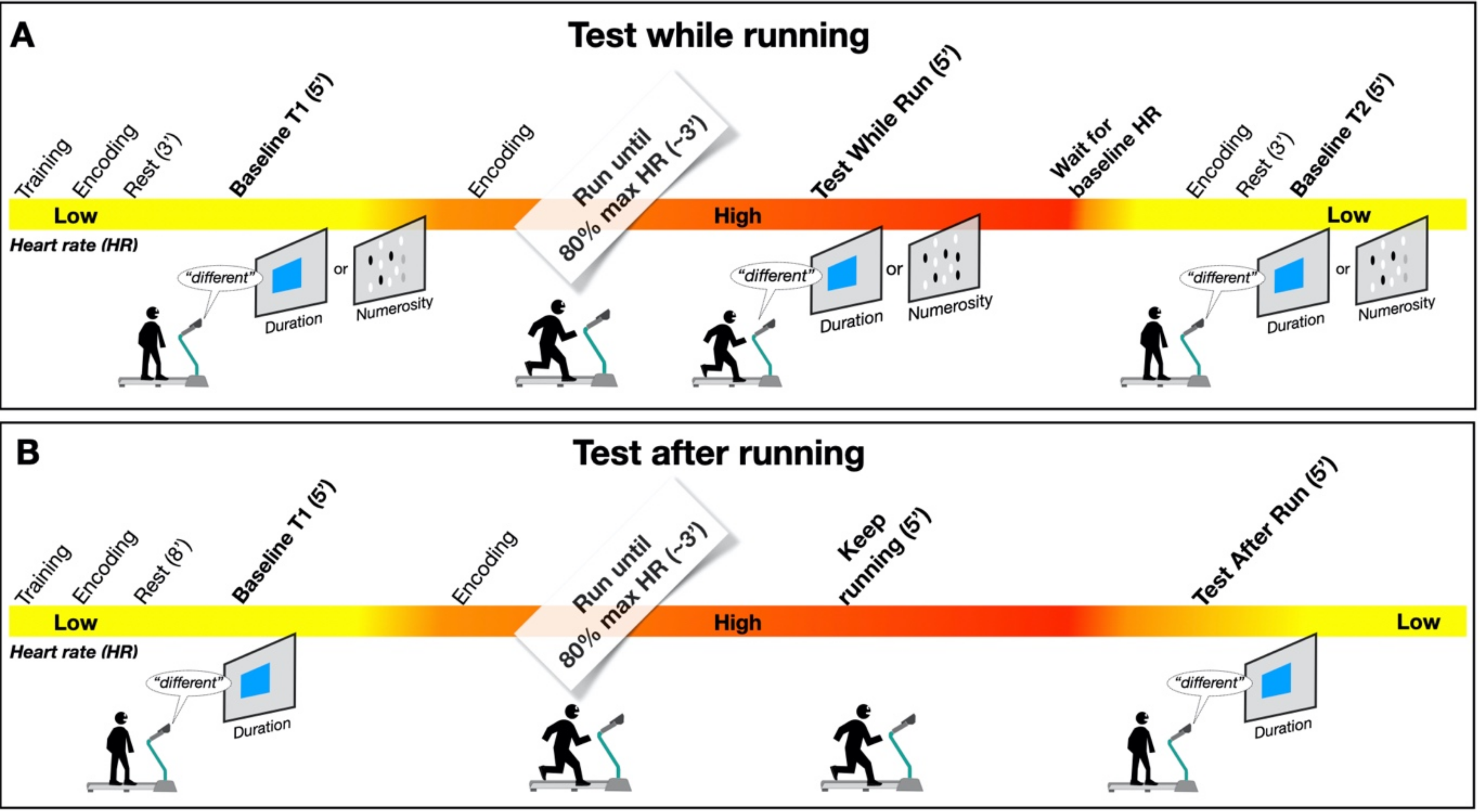 Brainsci 12 00081 g001 550