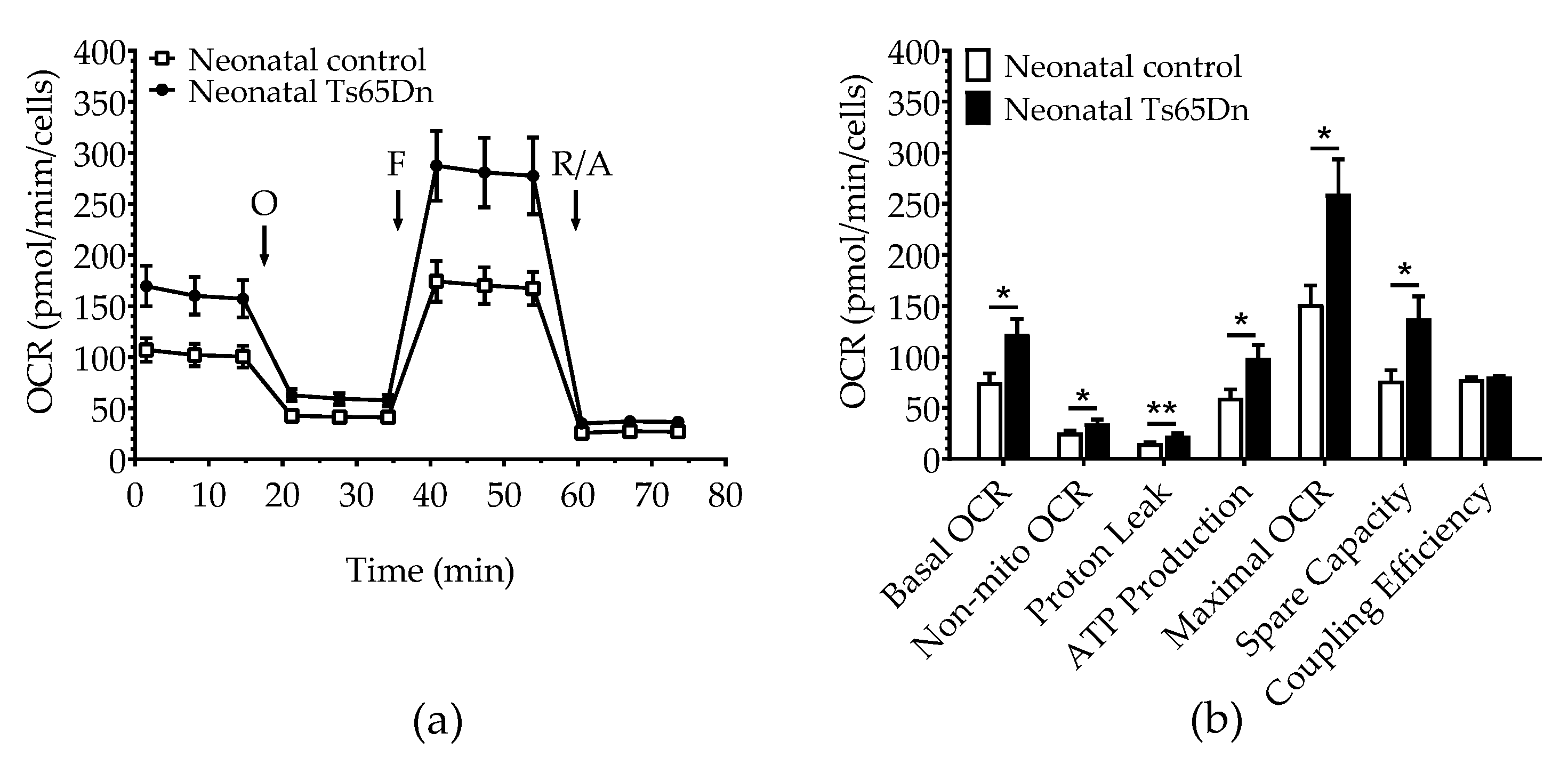 Brainsci 12 00083 g002