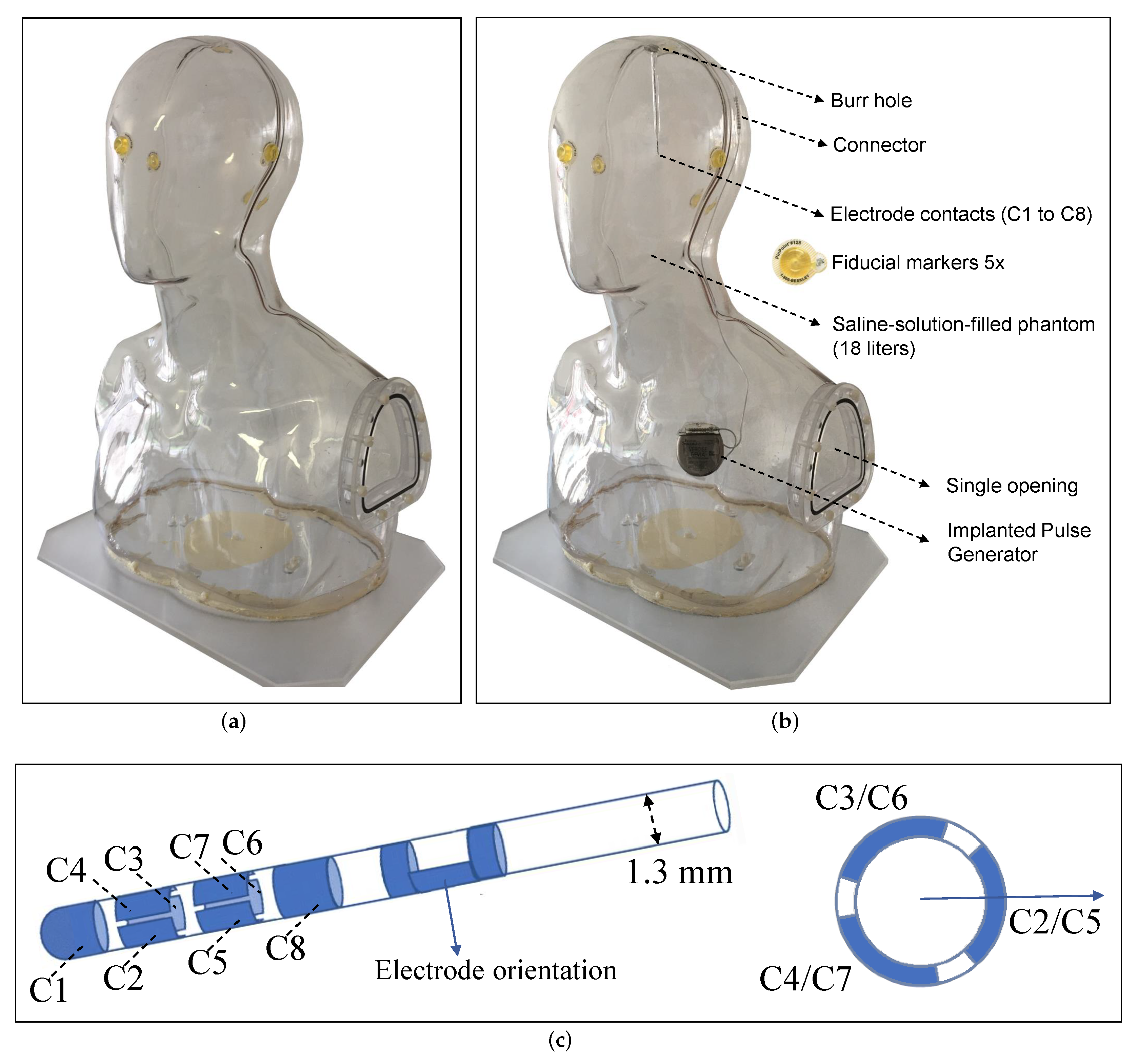 Brainsci 12 00086 g002