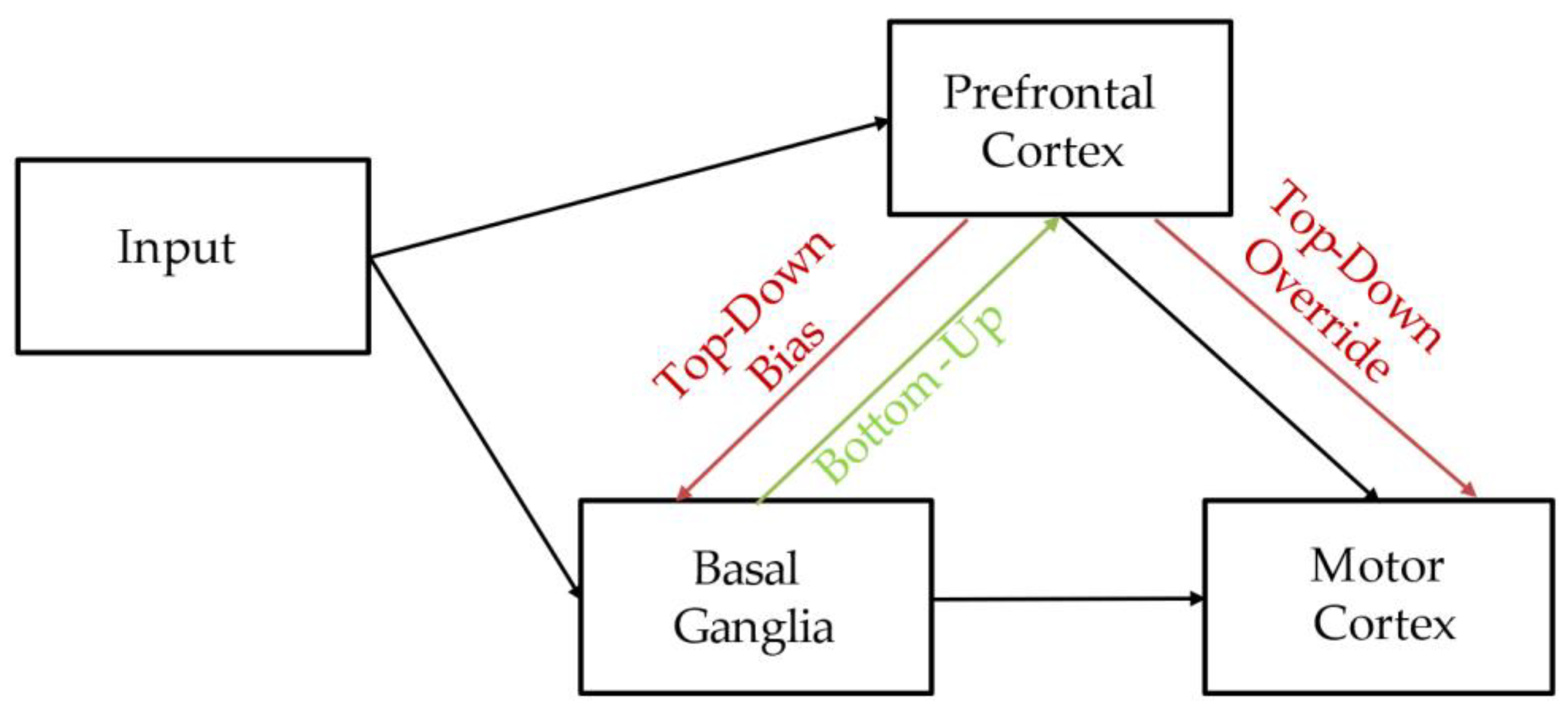 Brainsci 12 00090 g005 Brainsci 12 00090 g005