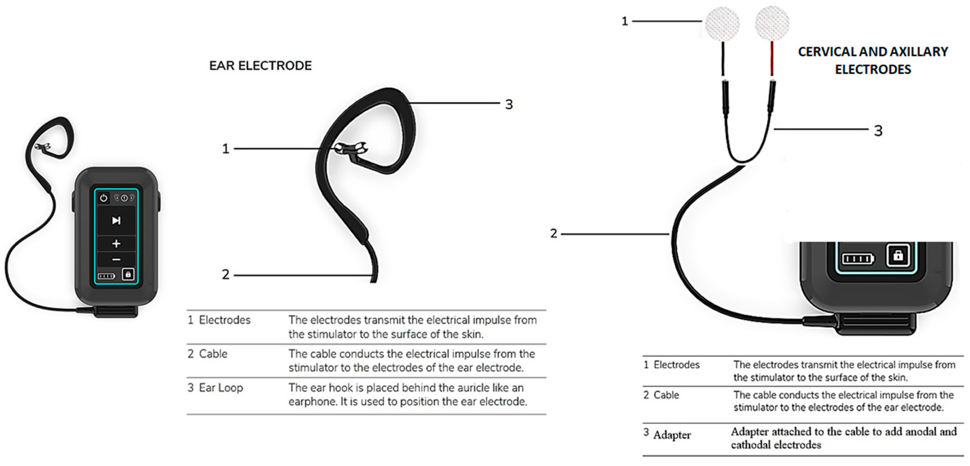 Brainsci 12 00095 g001 550