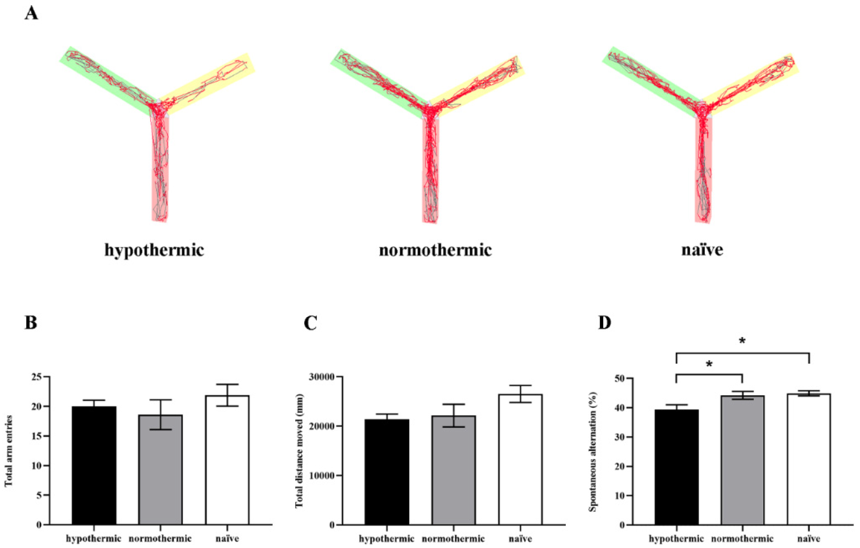 Brainsci 12 00096 g002 Brainsci 12 00096 g002