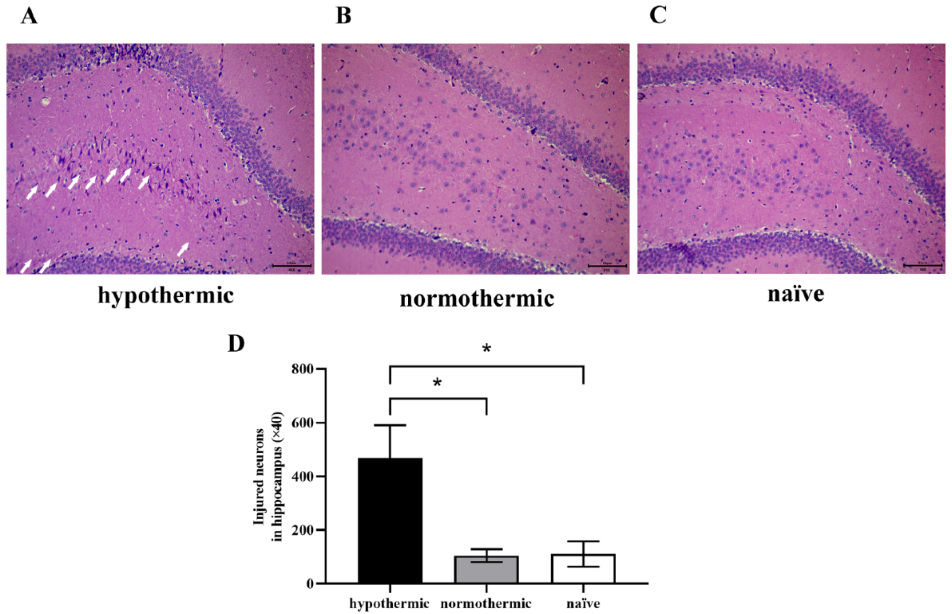 Brainsci 12 00096 g004 Brainsci 12 00096 g004
