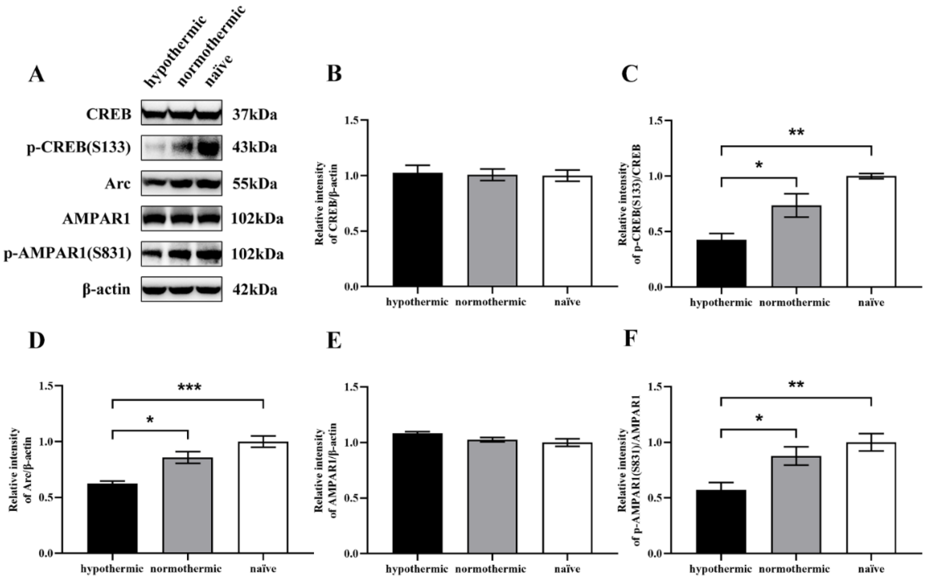 Brainsci 12 00096 g005 Brainsci 12 00096 g005