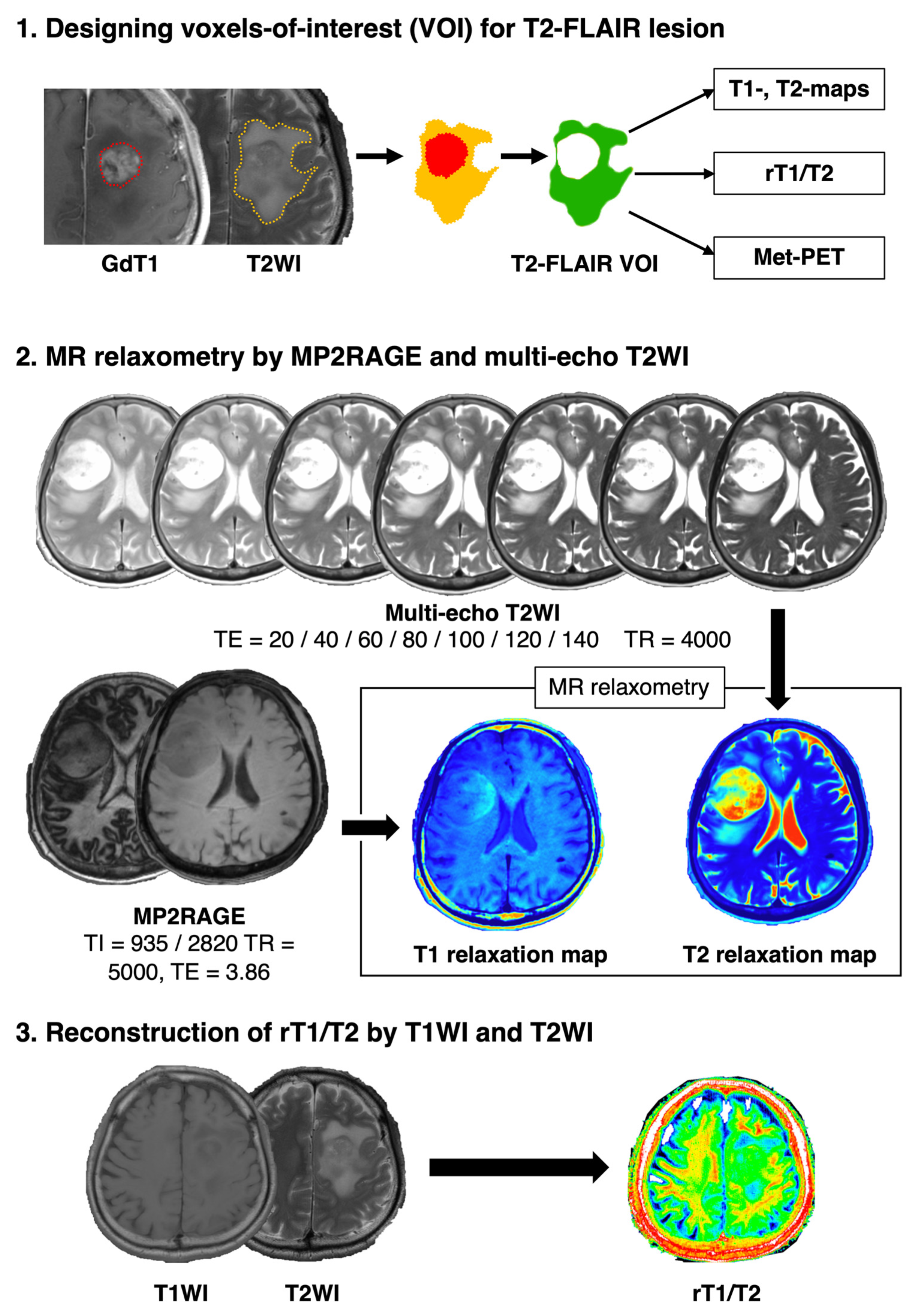 Brainsci 12 00099 g001 550