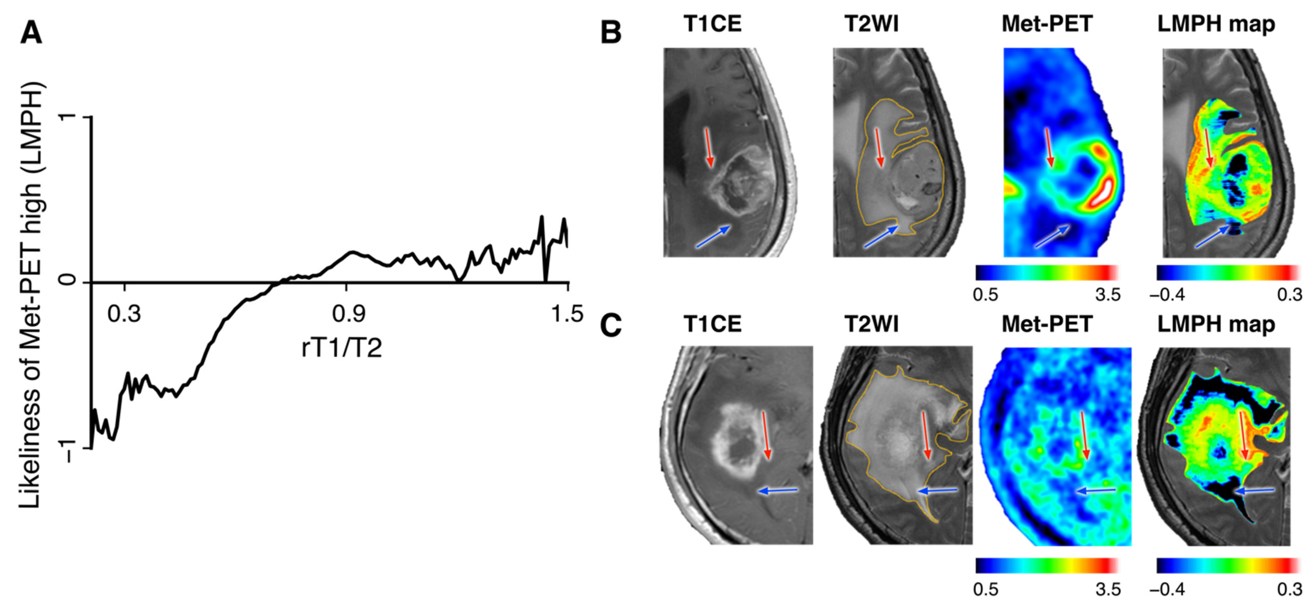 Brainsci 12 00099 g004 550