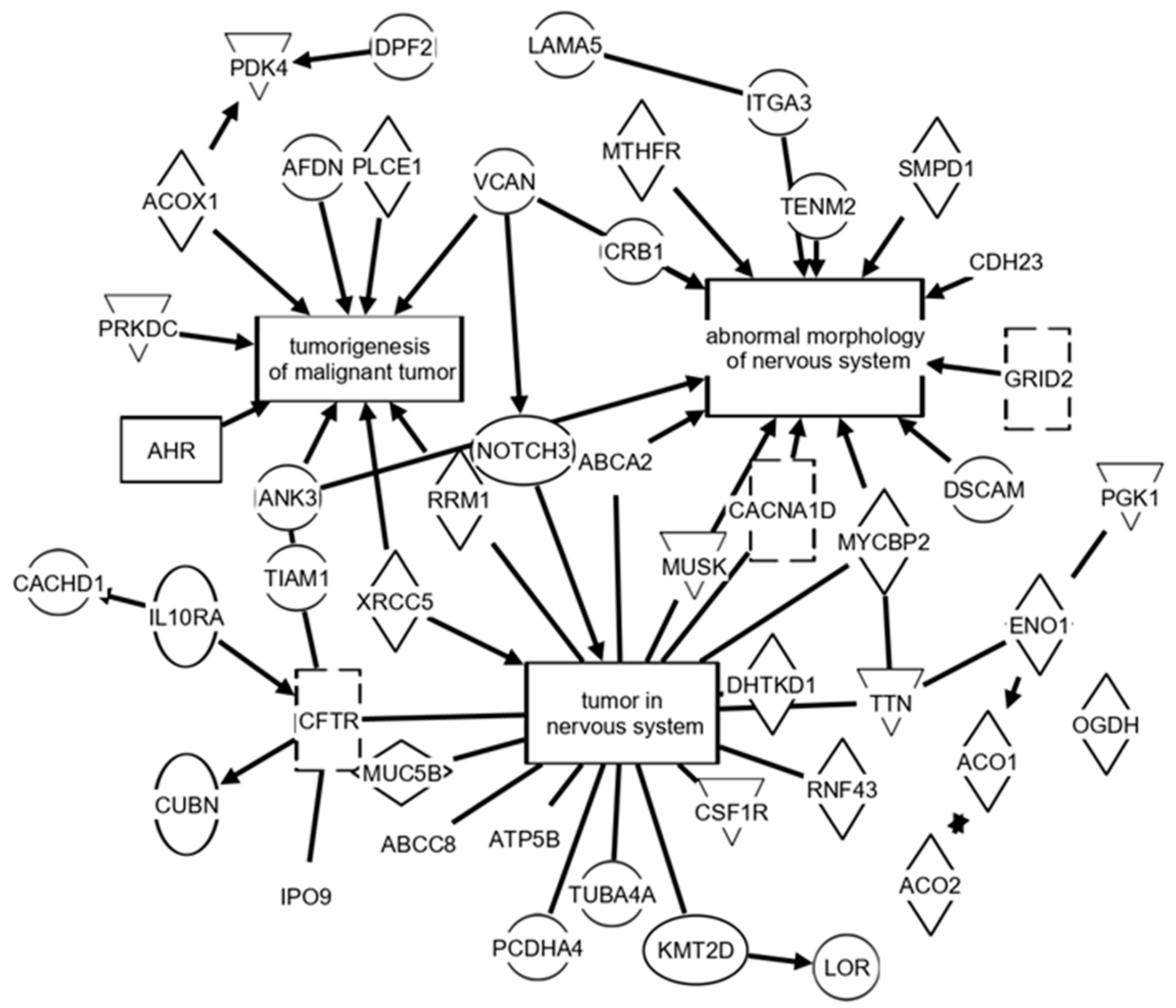 Brainsci 12 00100 g002 550