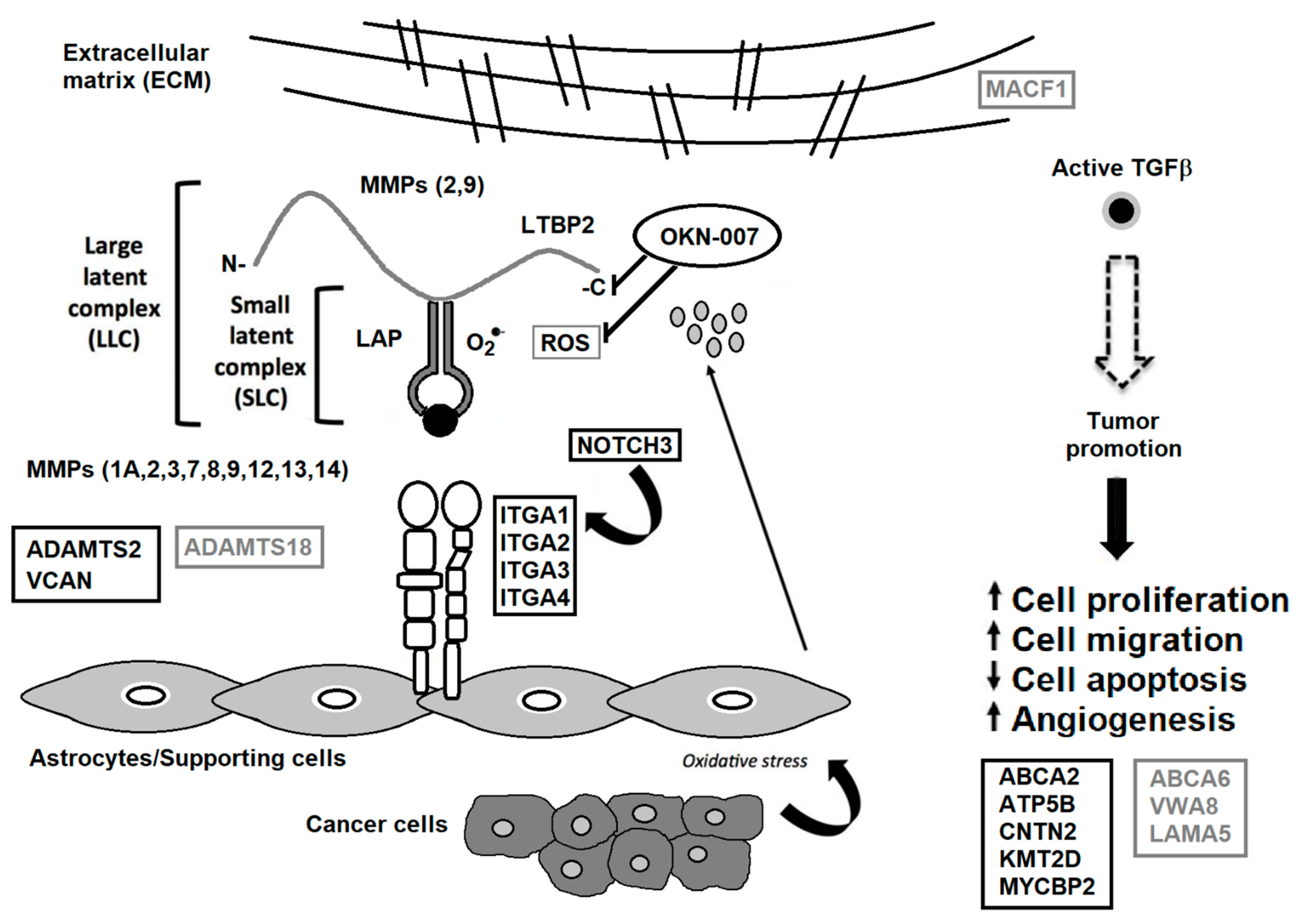 Brainsci 12 00100 g003 550