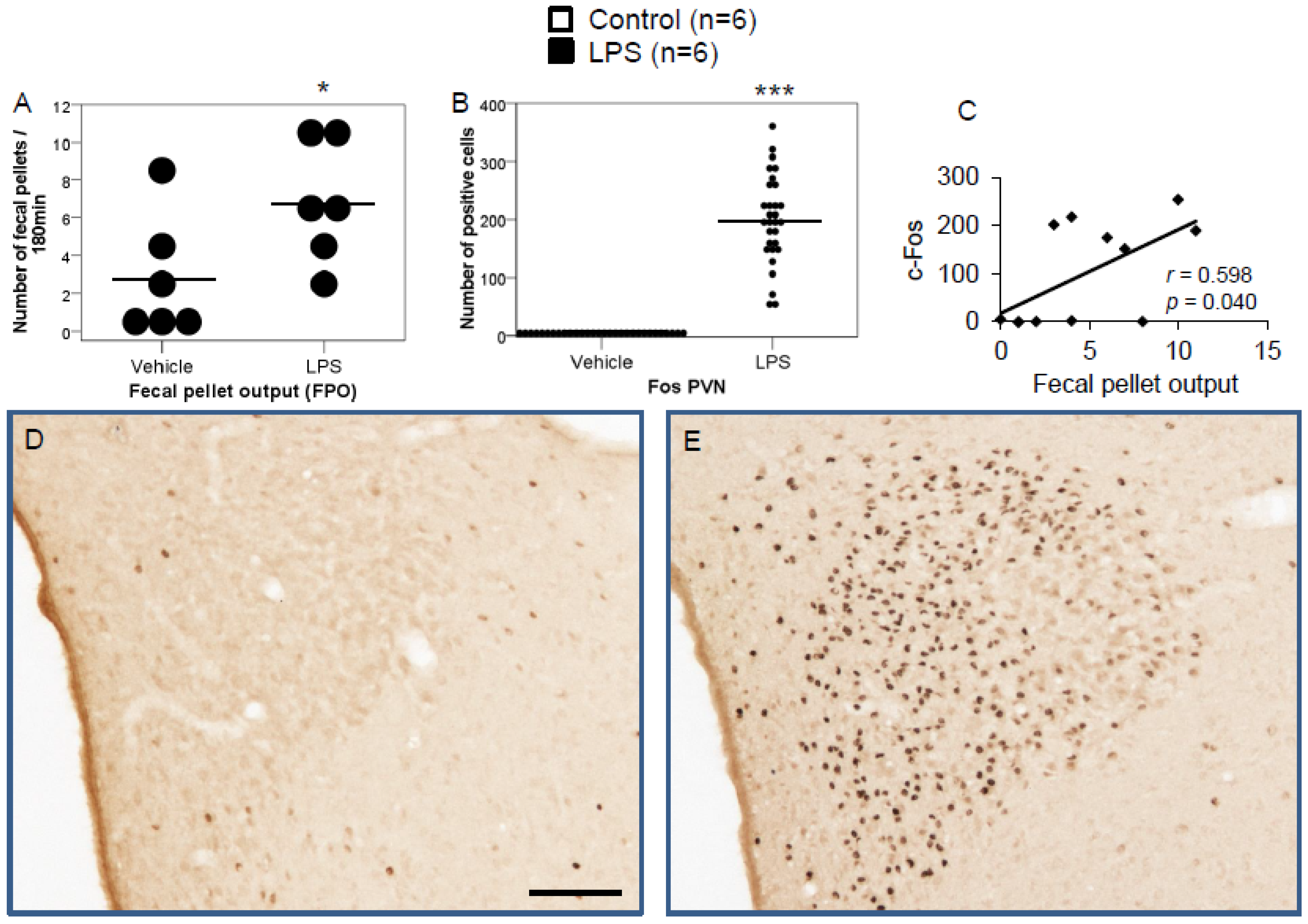 Brainsci 12 00135 g001 Brainsci 12 00135 g001