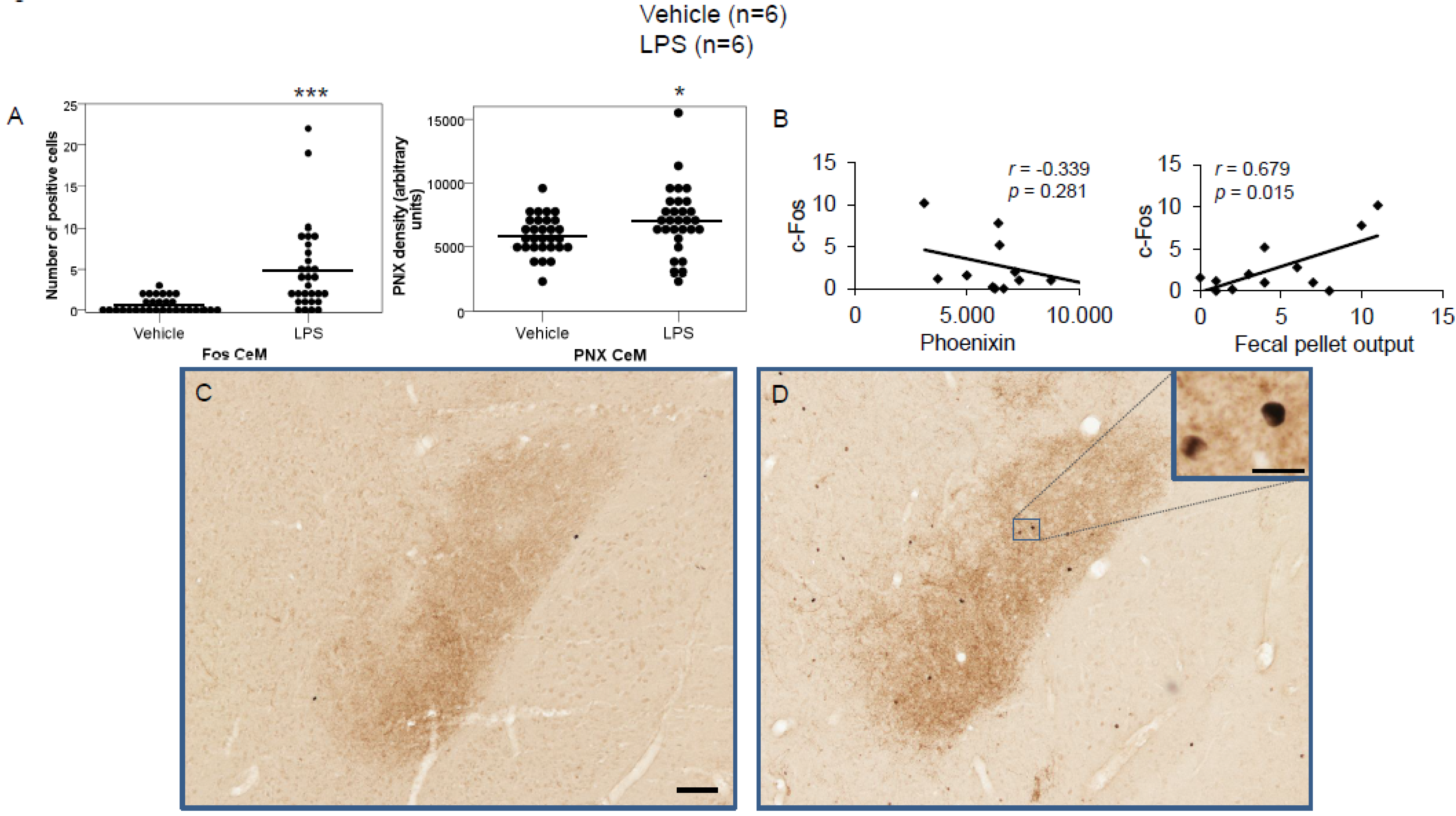 Brainsci 12 00135 g002 Brainsci 12 00135 g002