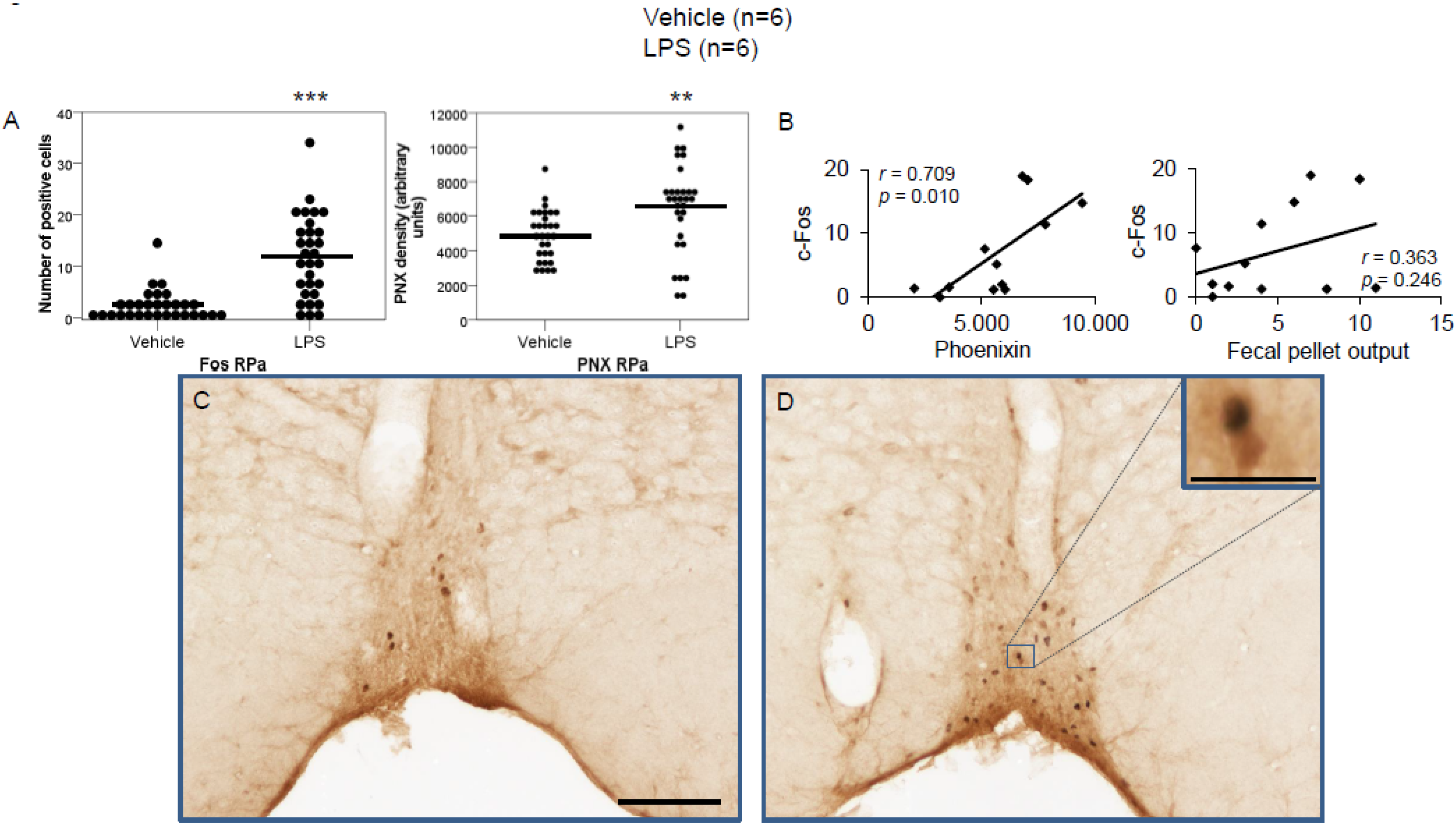 Brainsci 12 00135 g005 Brainsci 12 00135 g005