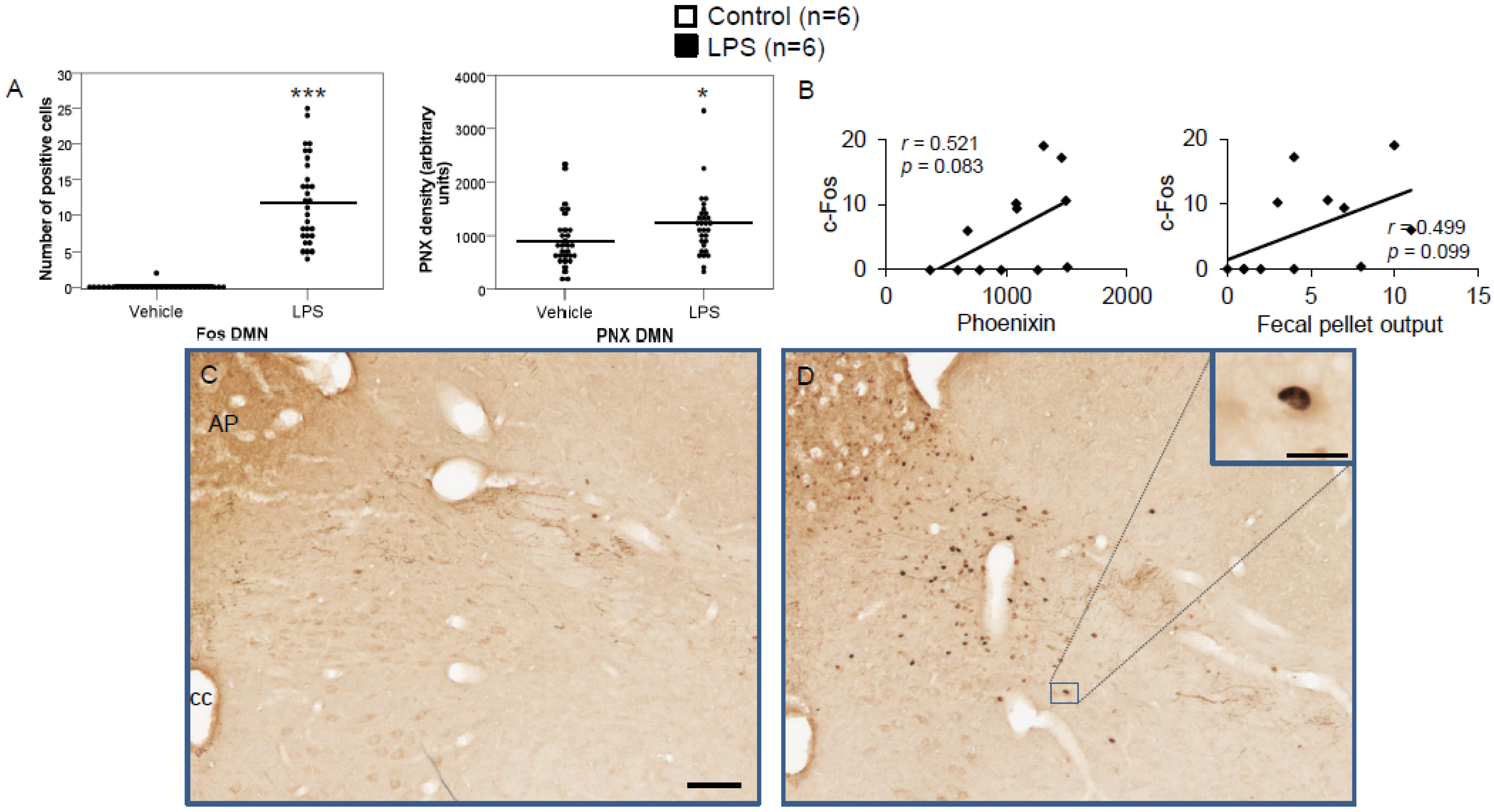 Brainsci 12 00135 g007 Brainsci 12 00135 g007