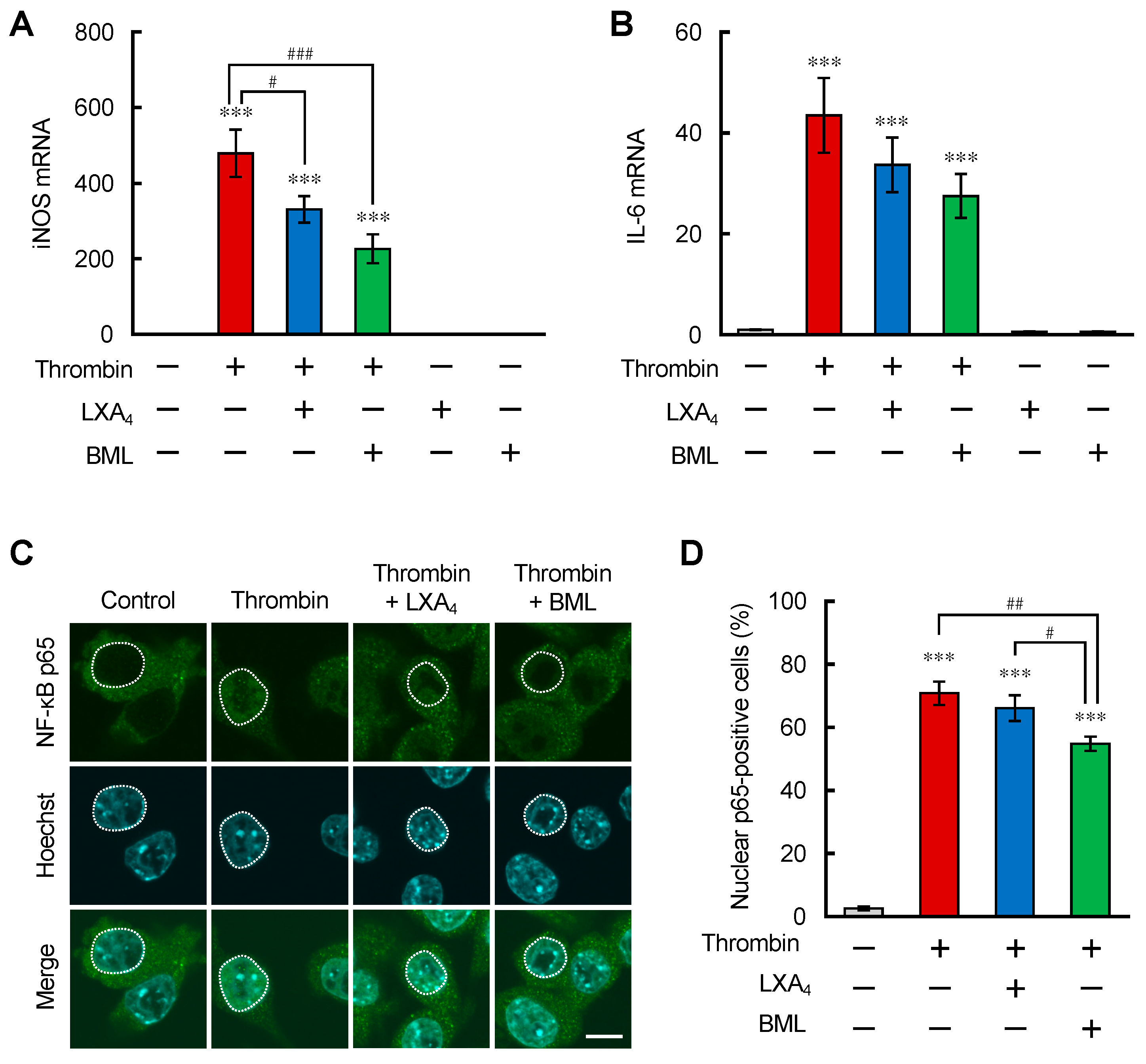 Brainsci 12 00162 g001 550