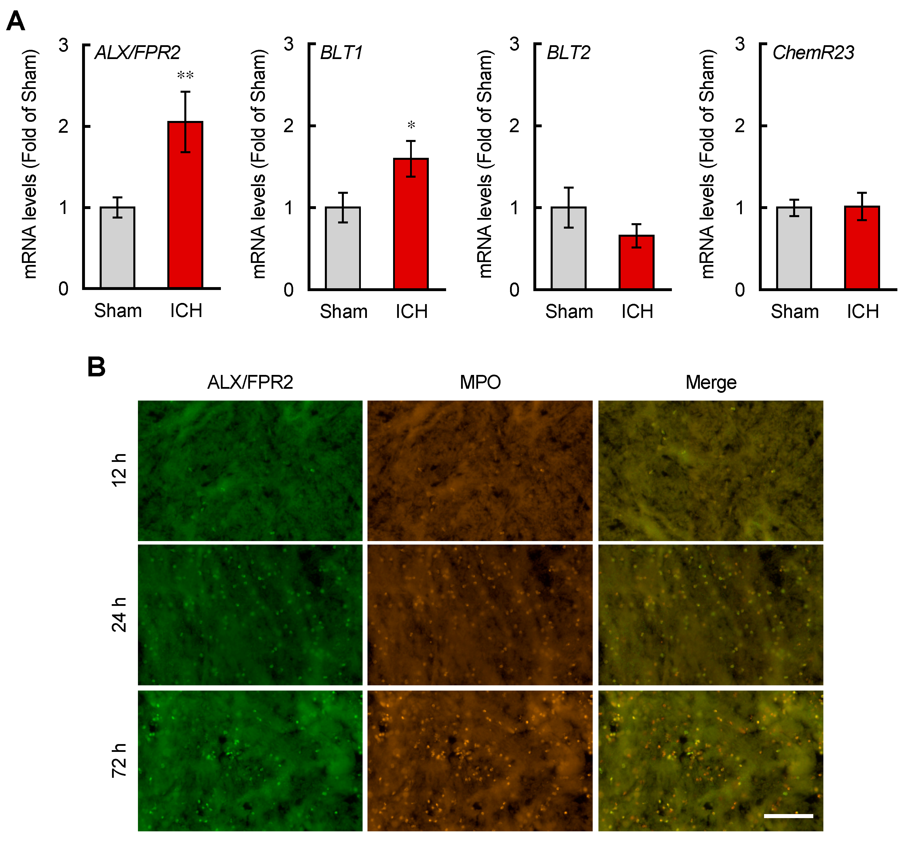 Brainsci 12 00162 g003 550