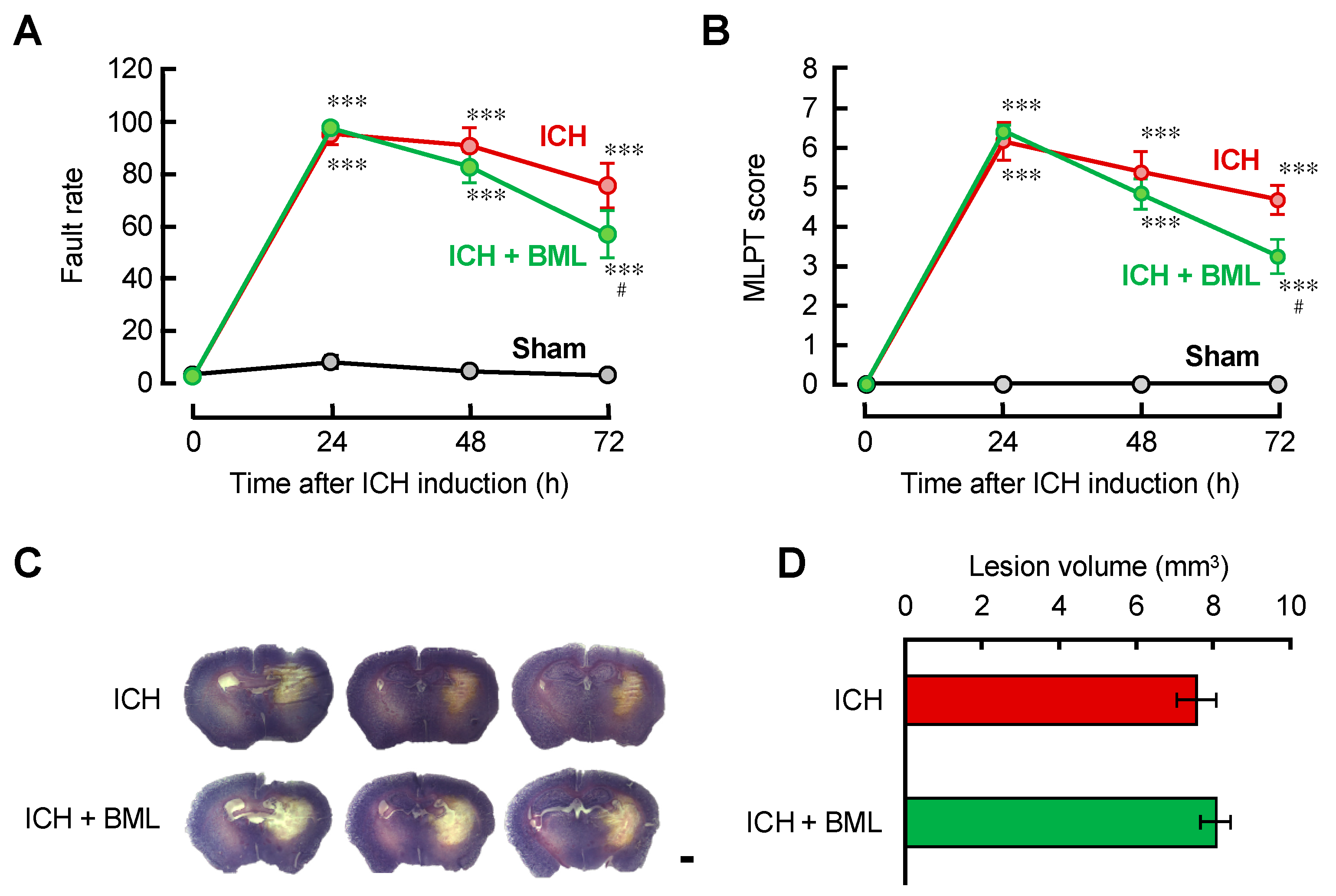Brainsci 12 00162 g004 550