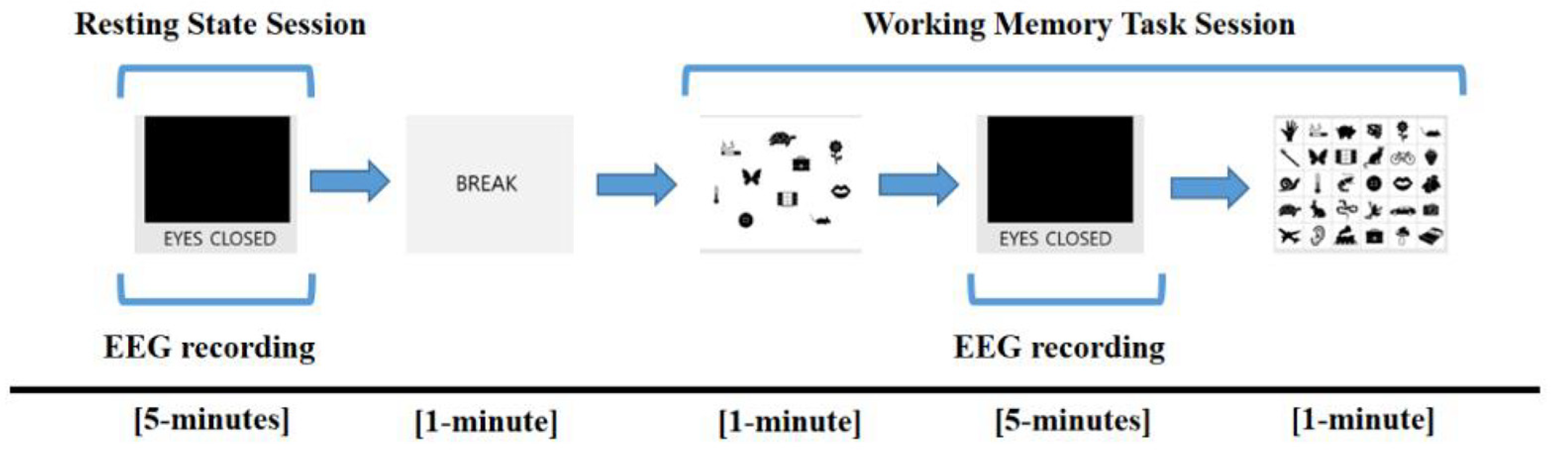 Brainsci 12 00172 g001
