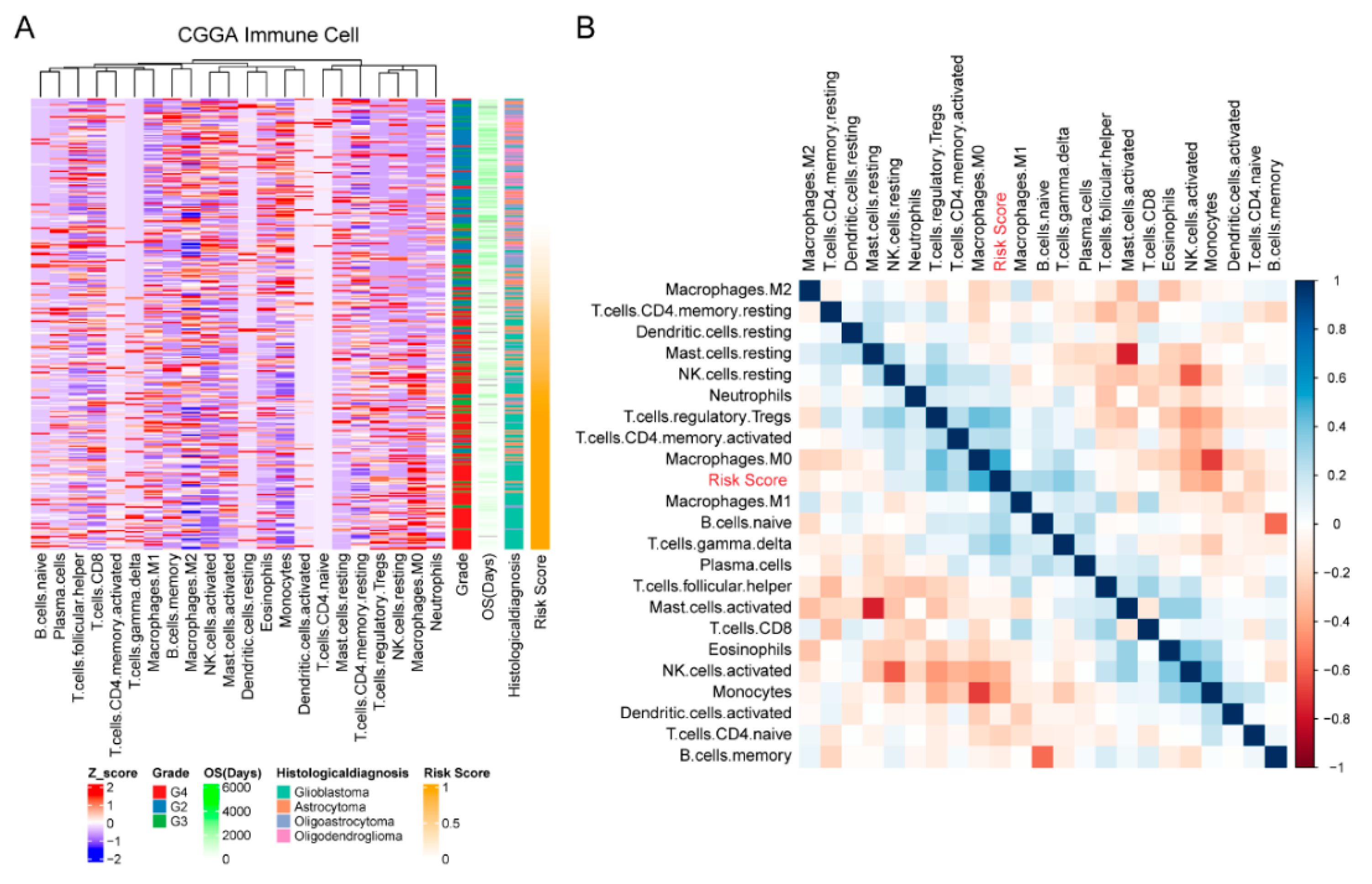 Brainsci 12 00181 g005