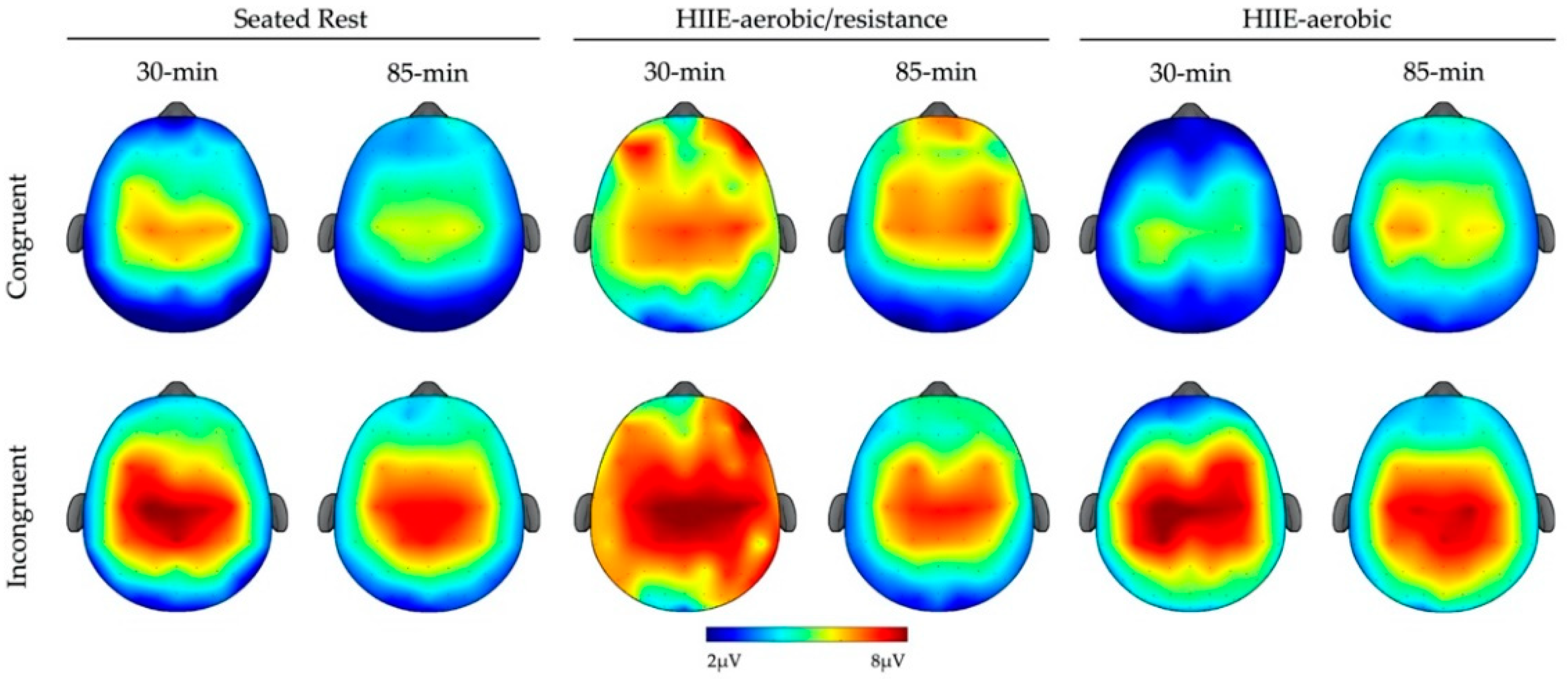 Brainsci 12 00185 g002