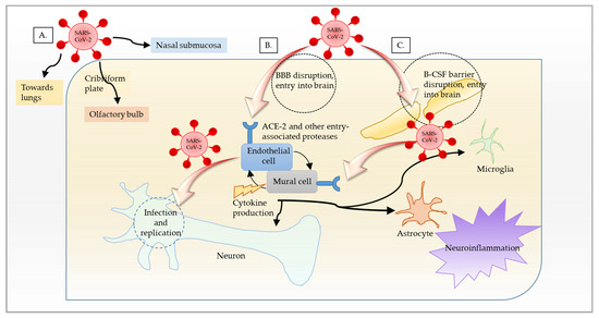 human brain mapping journal impact factor human brain mapping journal impact factor