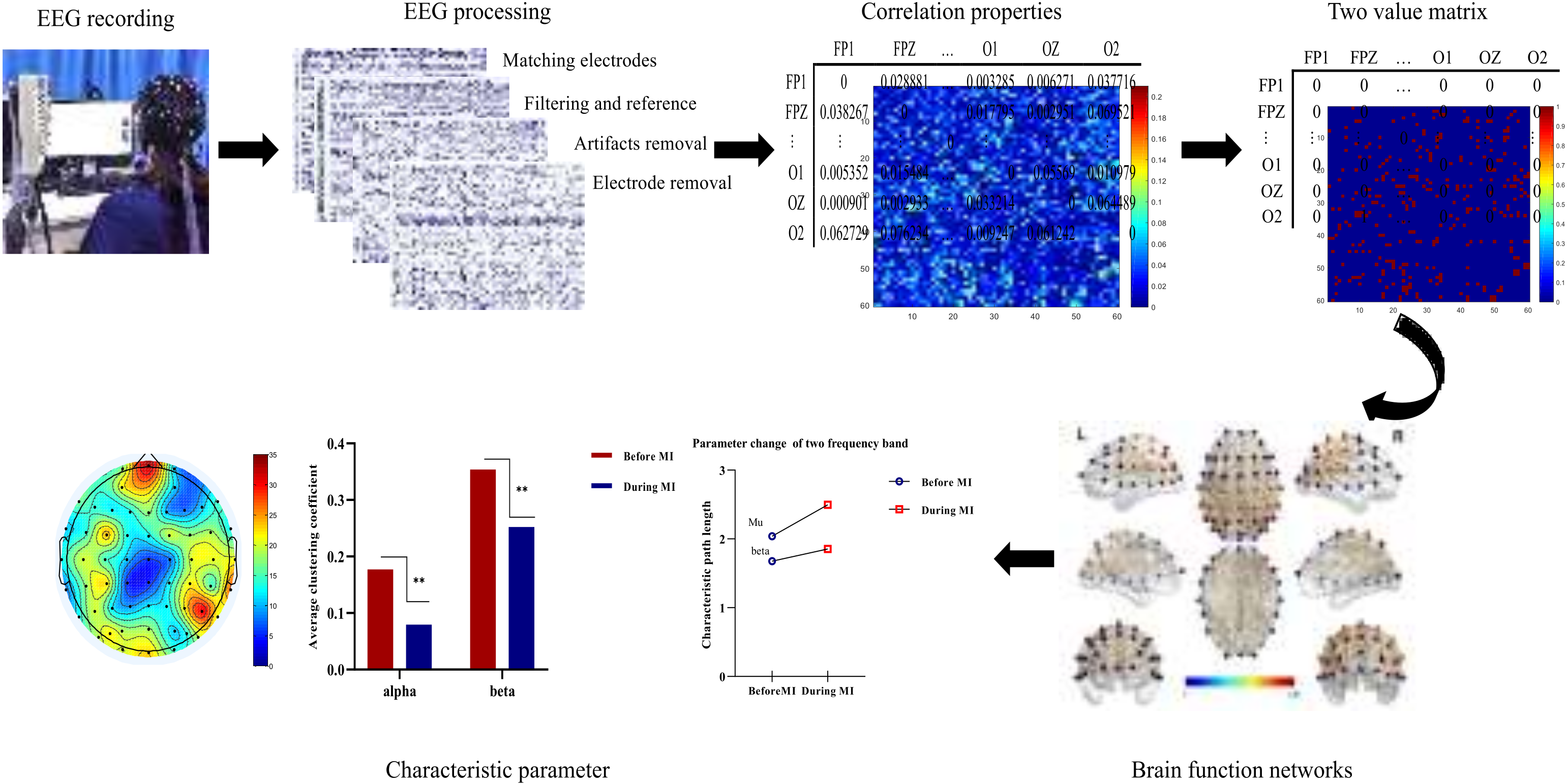 Effects of Motor Imagery Tasks on Brain Functional Networks Based on ...