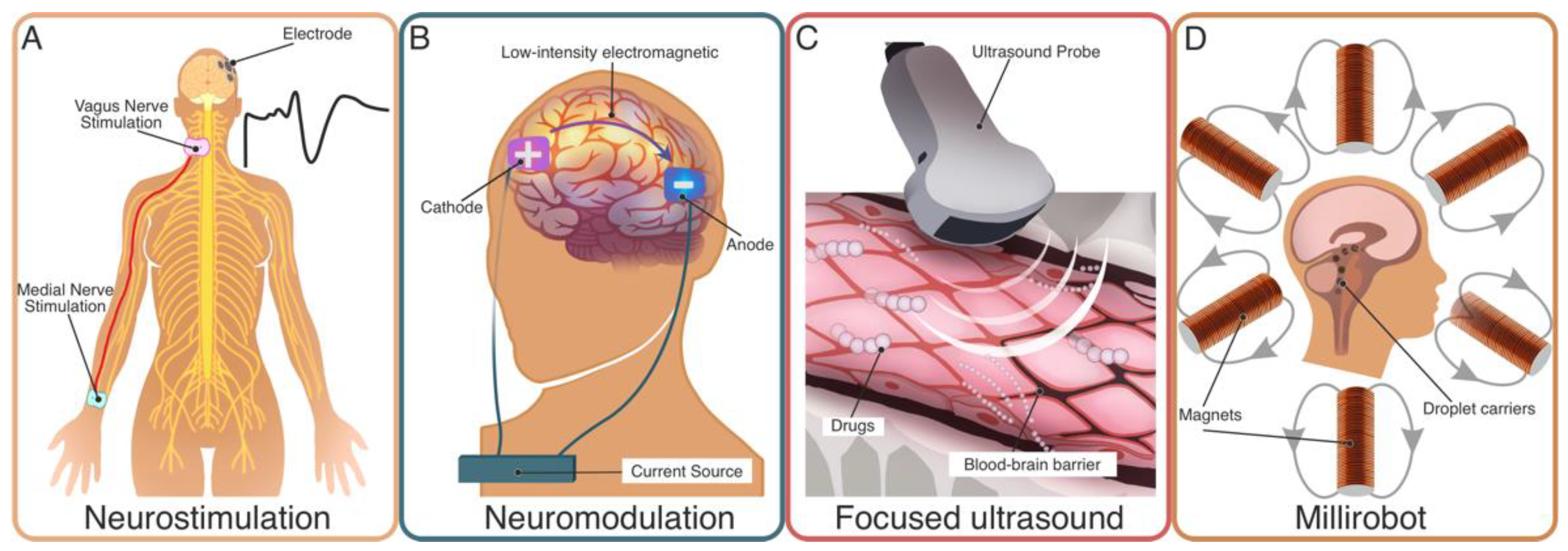 Brainsci 12 00198 g001 Brainsci 12 00198 g001
