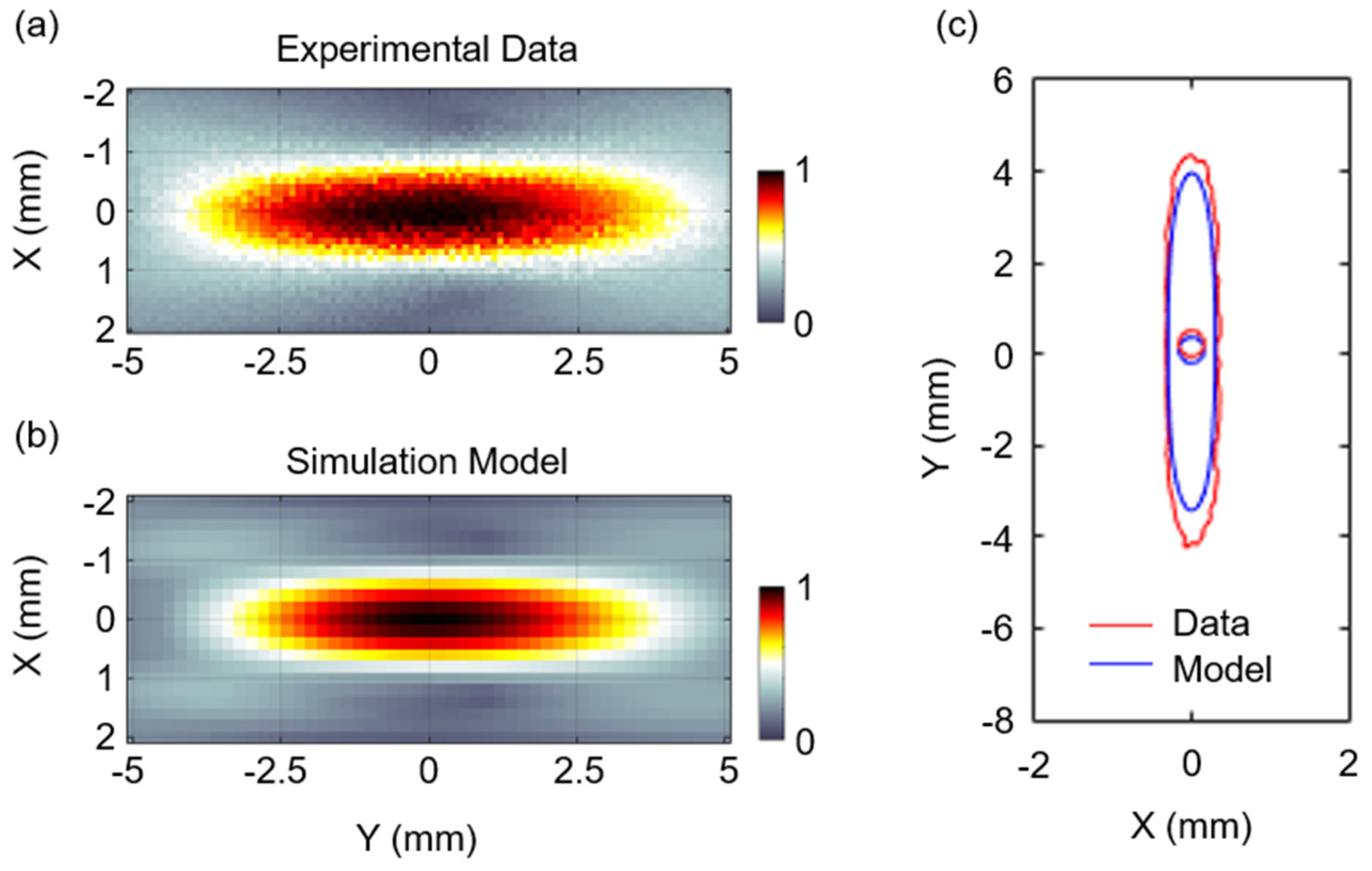 Brainsci 12 00216 g002